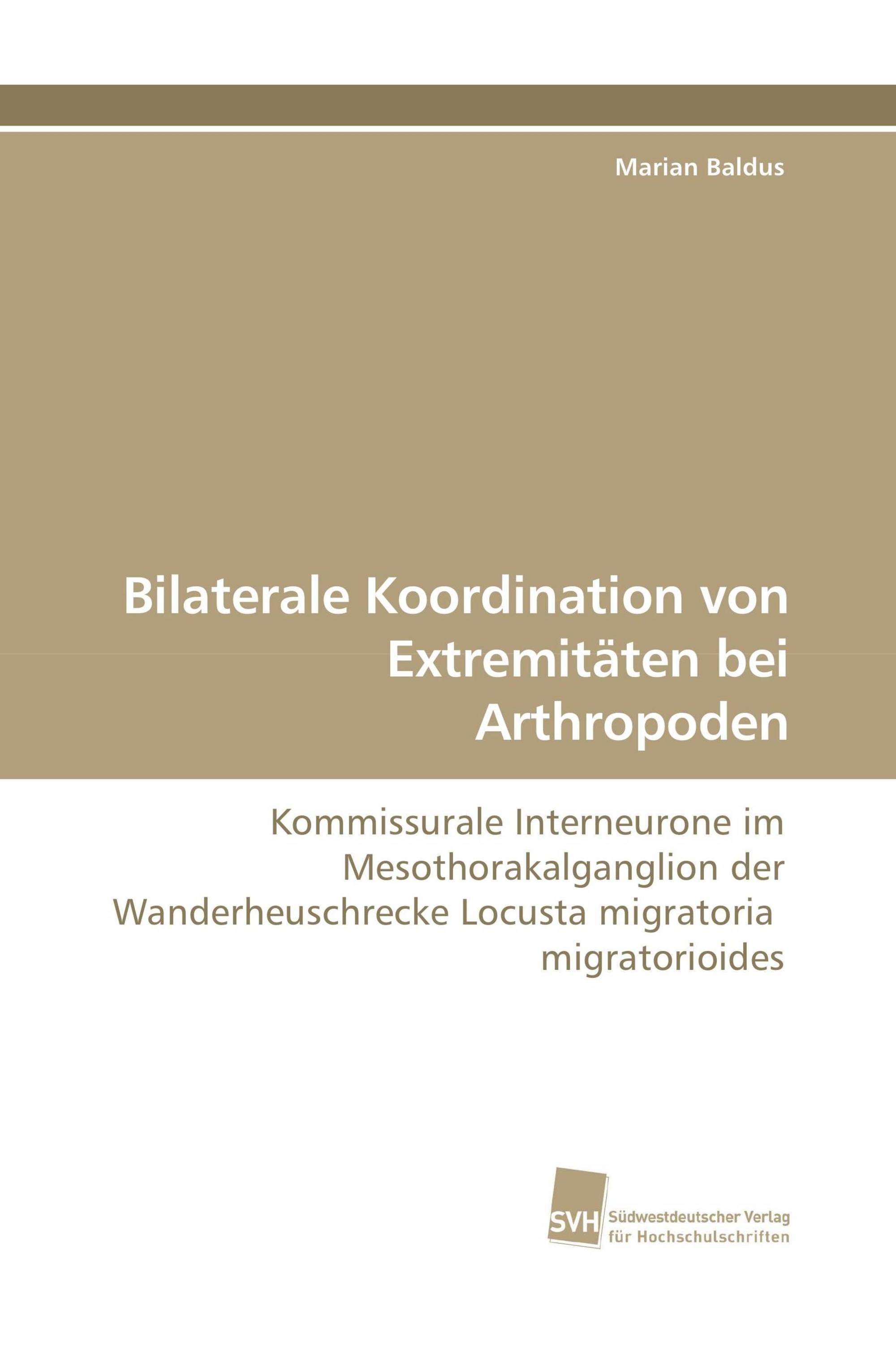 Bilaterale Koordination von Extremitäten bei Arthropoden