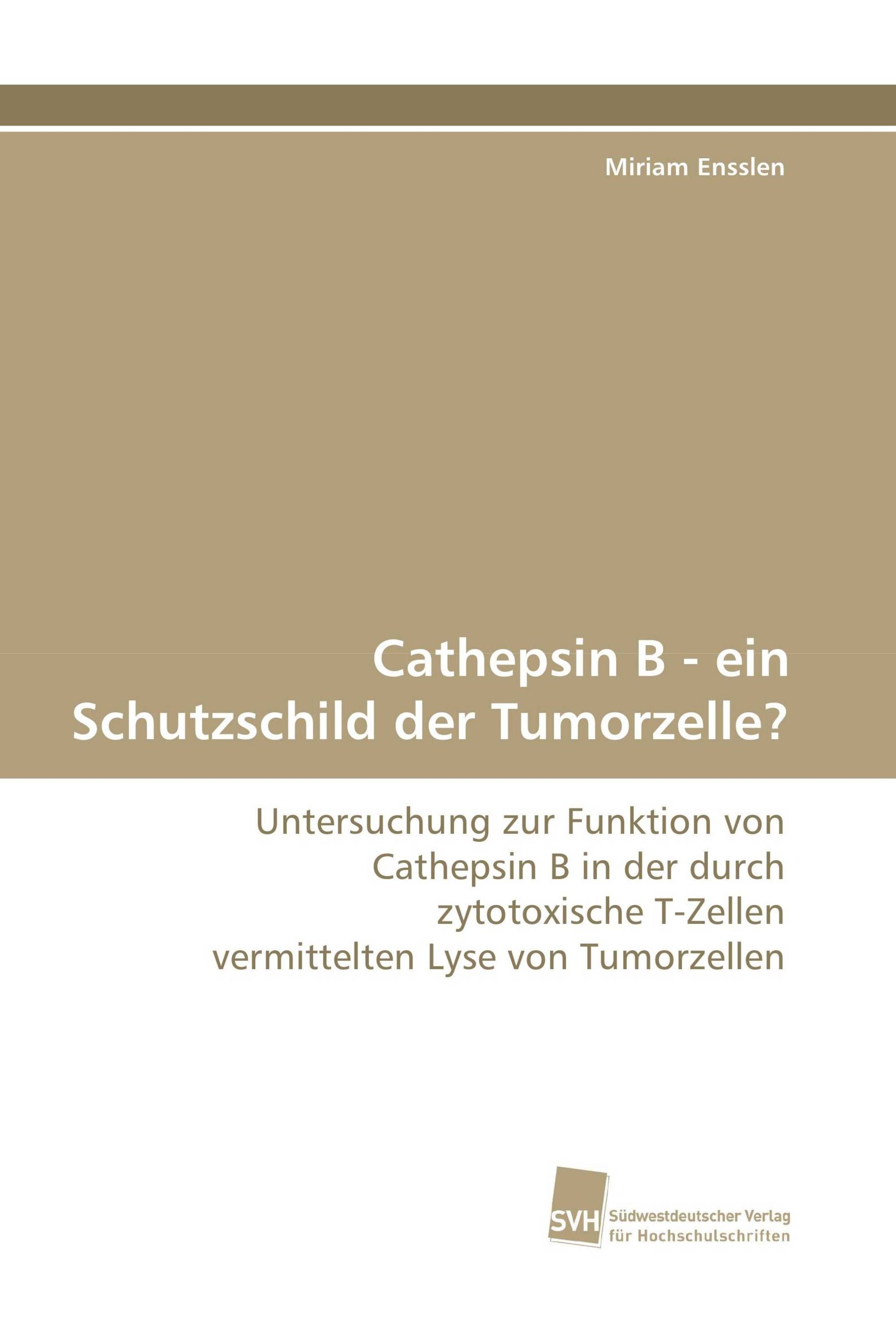 Cathepsin B - ein Schutzschild der Tumorzelle?