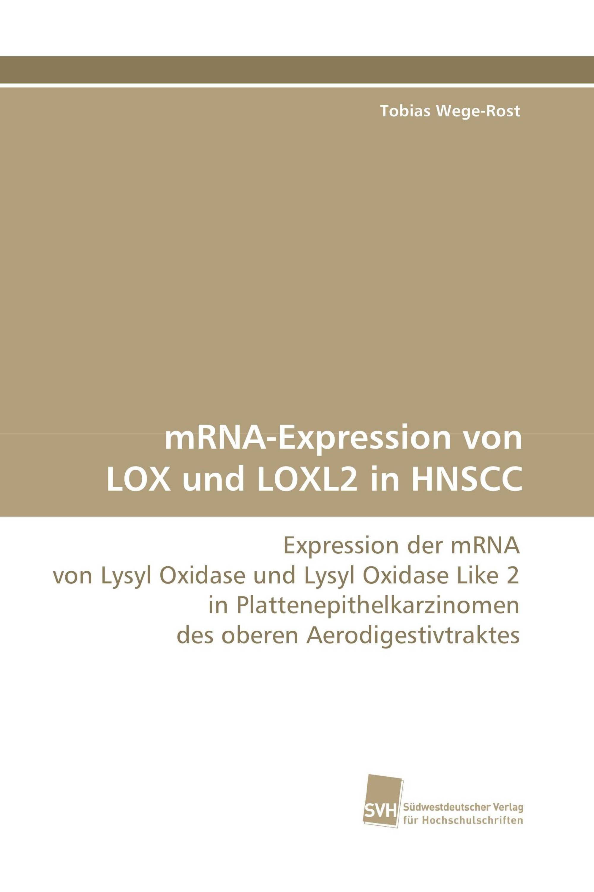 mRNA-Expression von LOX und LOXL2 in HNSCC