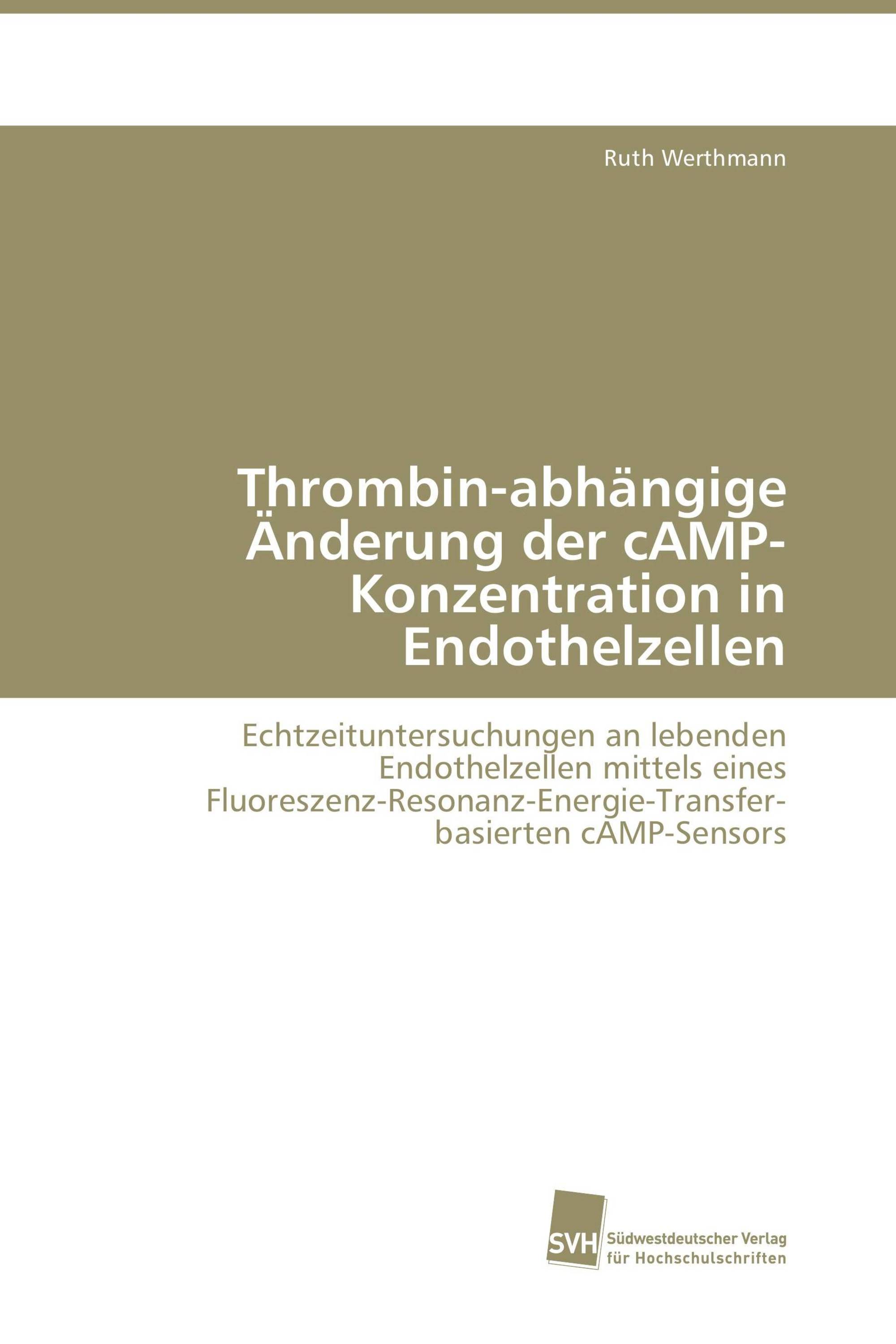 Thrombin-abhängige Änderung der cAMP-Konzentration in Endothelzellen