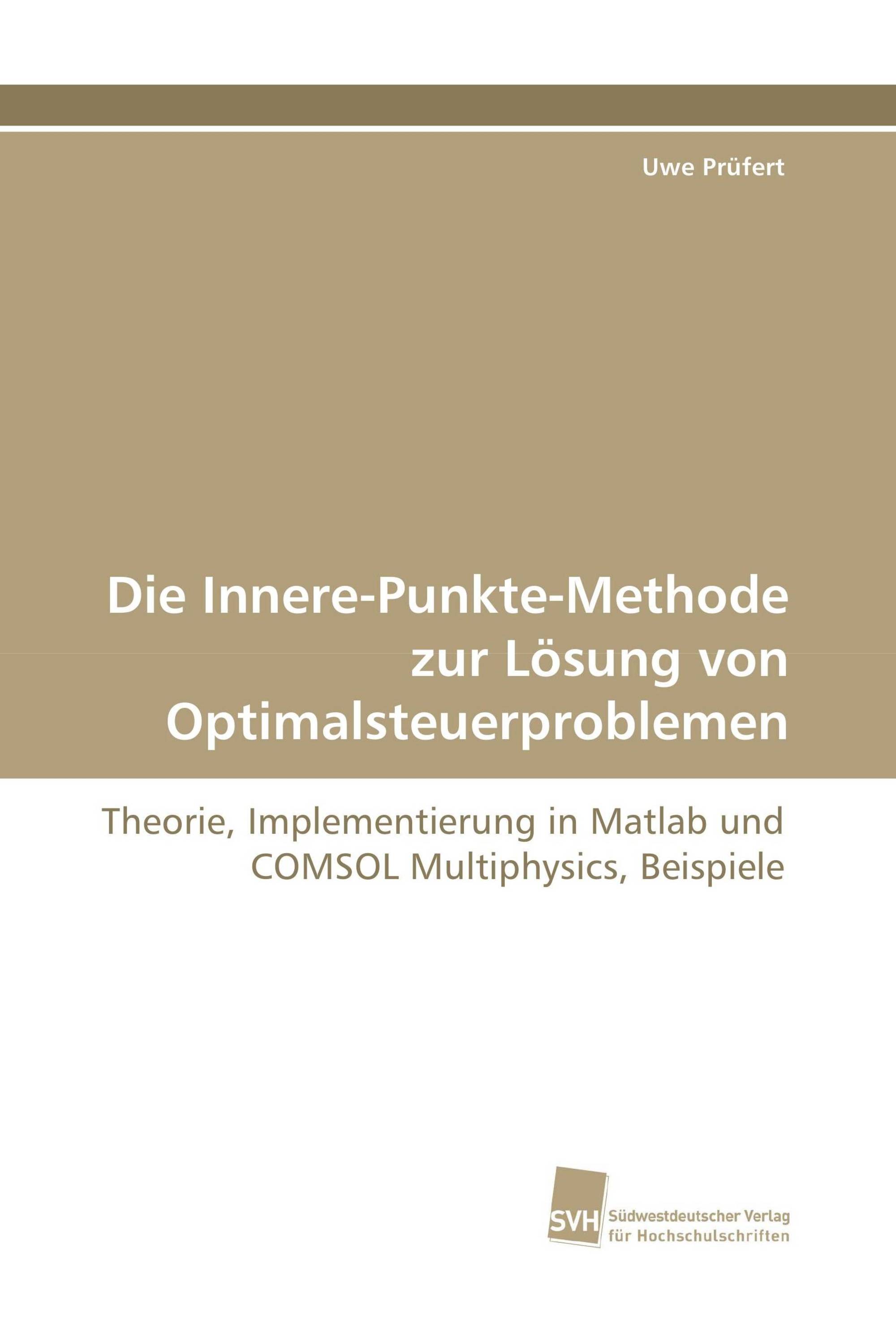 Die Innere-Punkte-Methode zur Lösung von Optimalsteuerproblemen