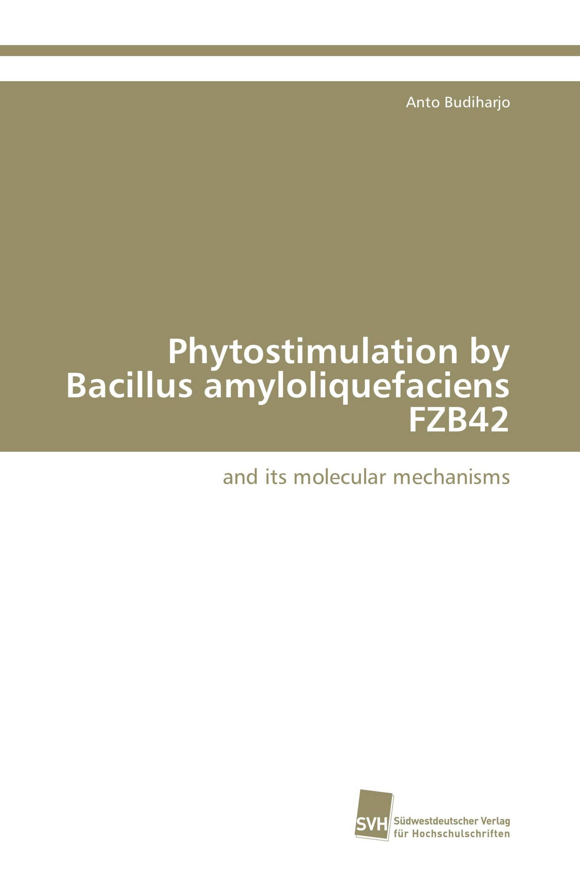 Phytostimulation by Bacillus amyloliquefaciens FZB42