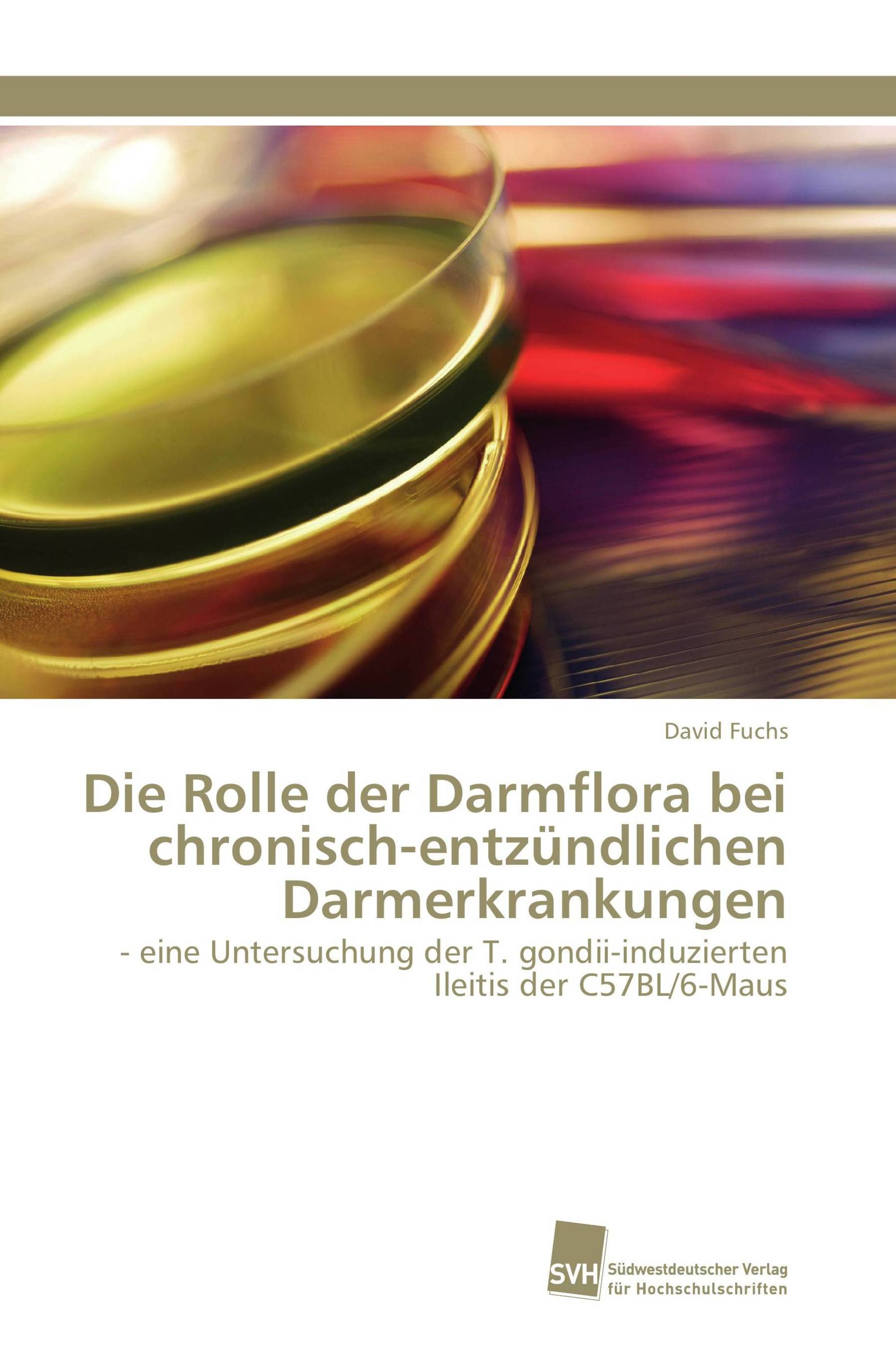 Die Rolle der Darmflora bei chronisch-entzündlichen Darmerkrankungen