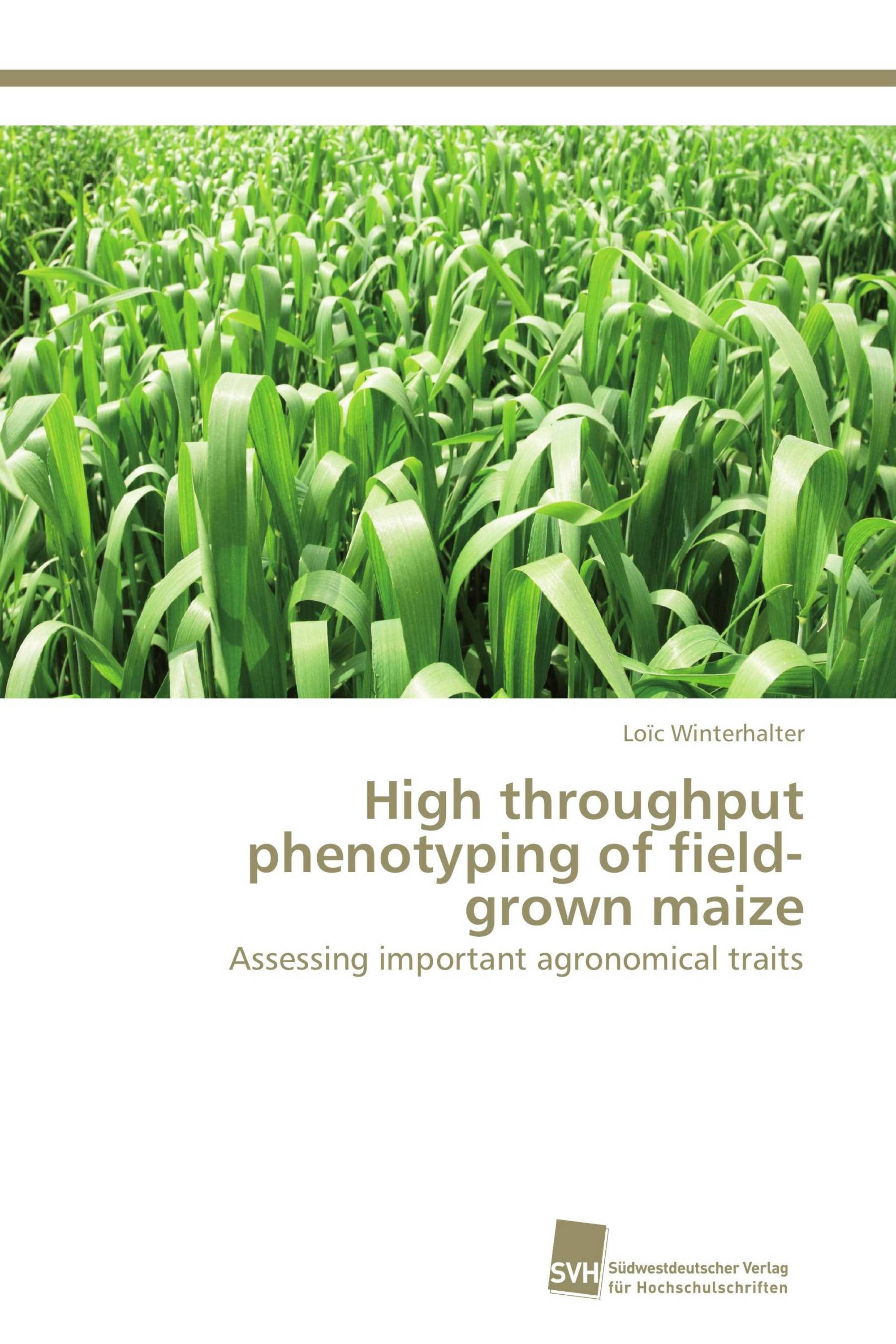 High throughput phenotyping of field-grown maize