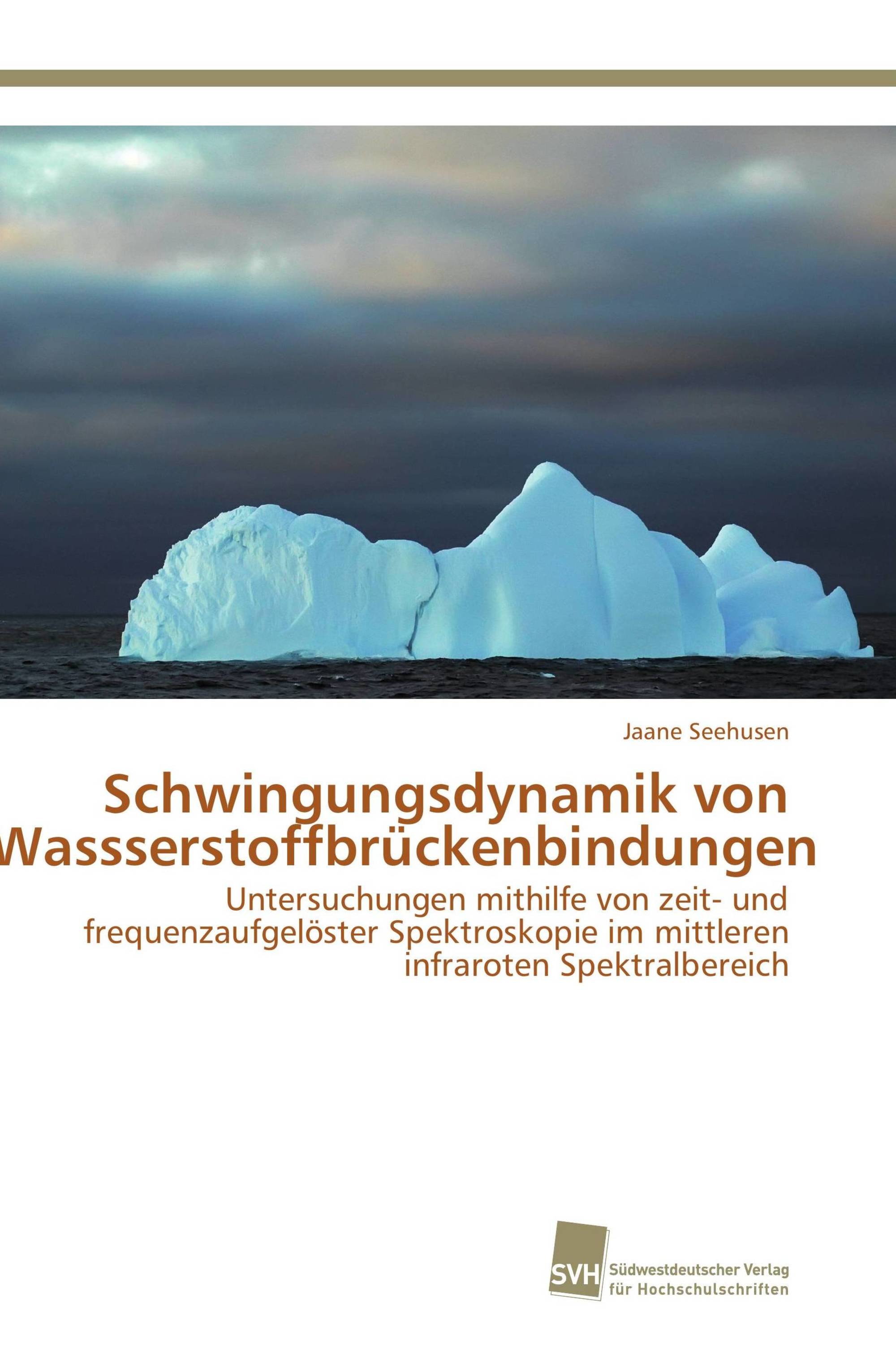 Schwingungsdynamik von Wassserstoffbrückenbindungen