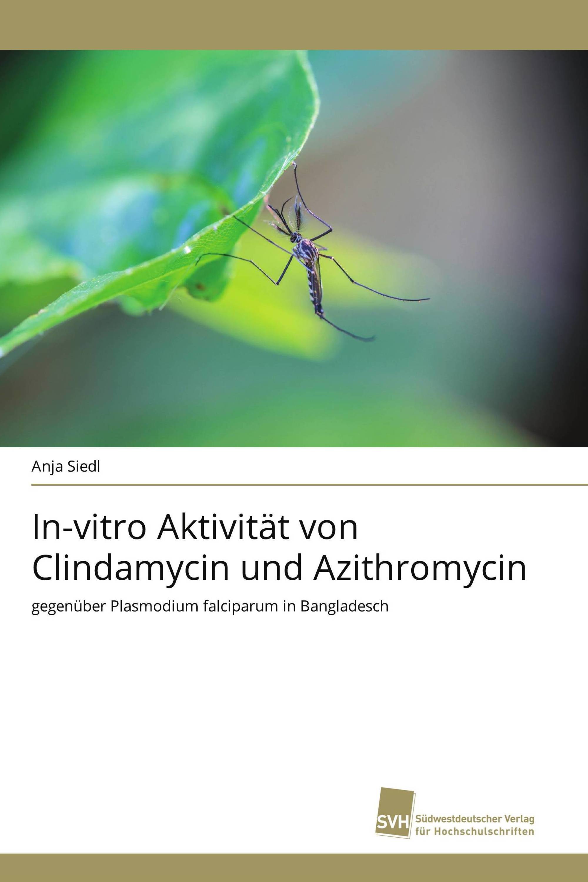 In-vitro Aktivität von Clindamycin und Azithromycin