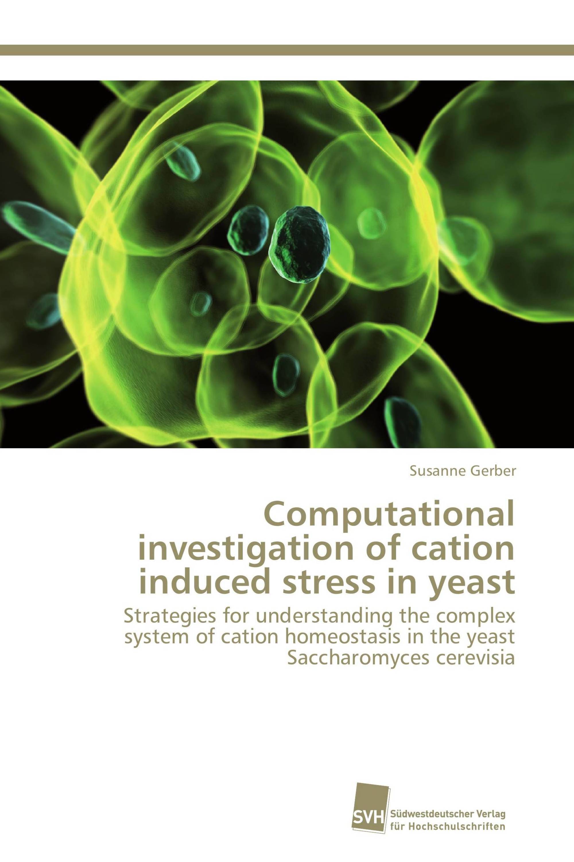 Computational investigation of cation induced stress in yeast