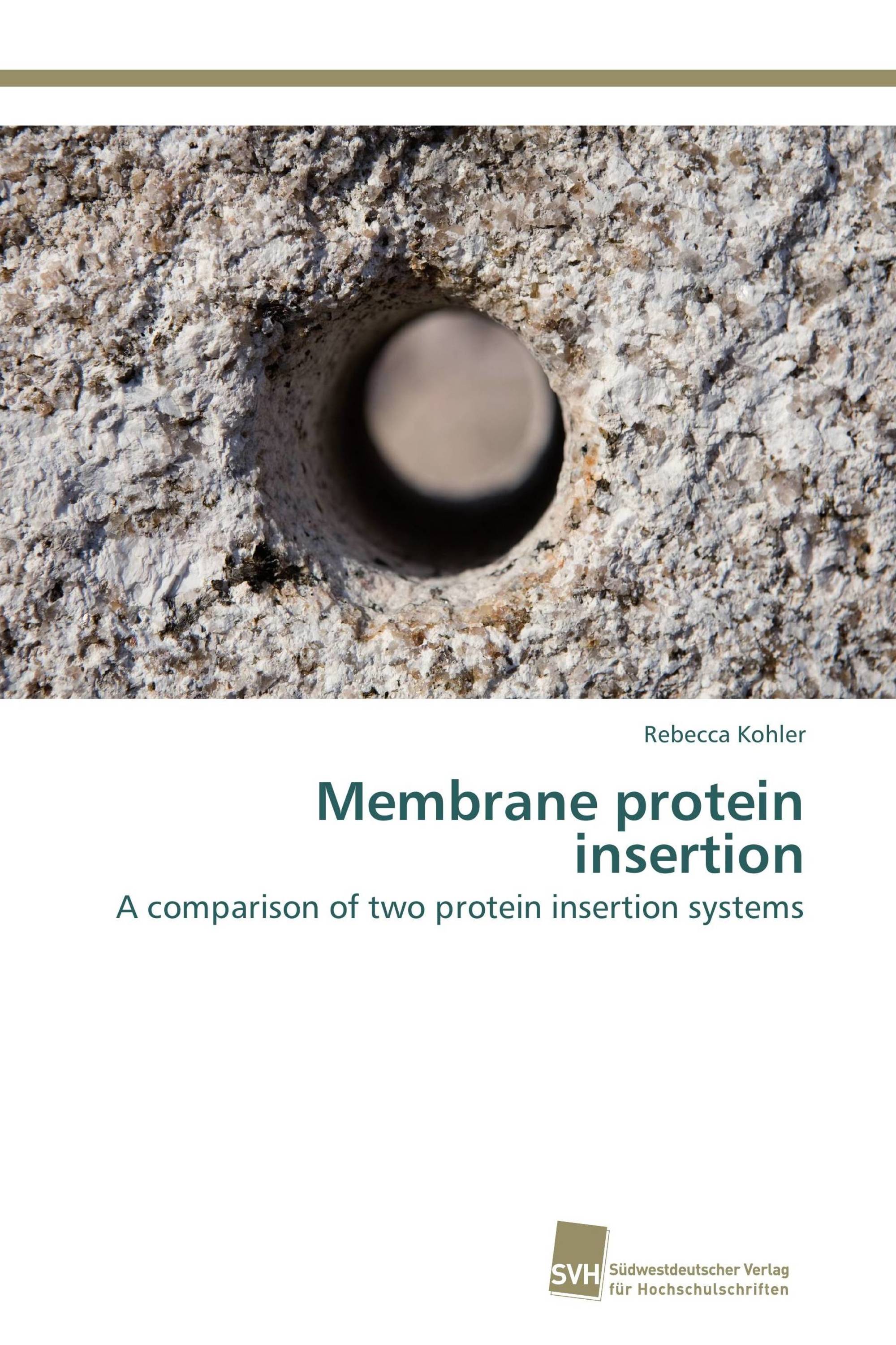 Membrane protein insertion