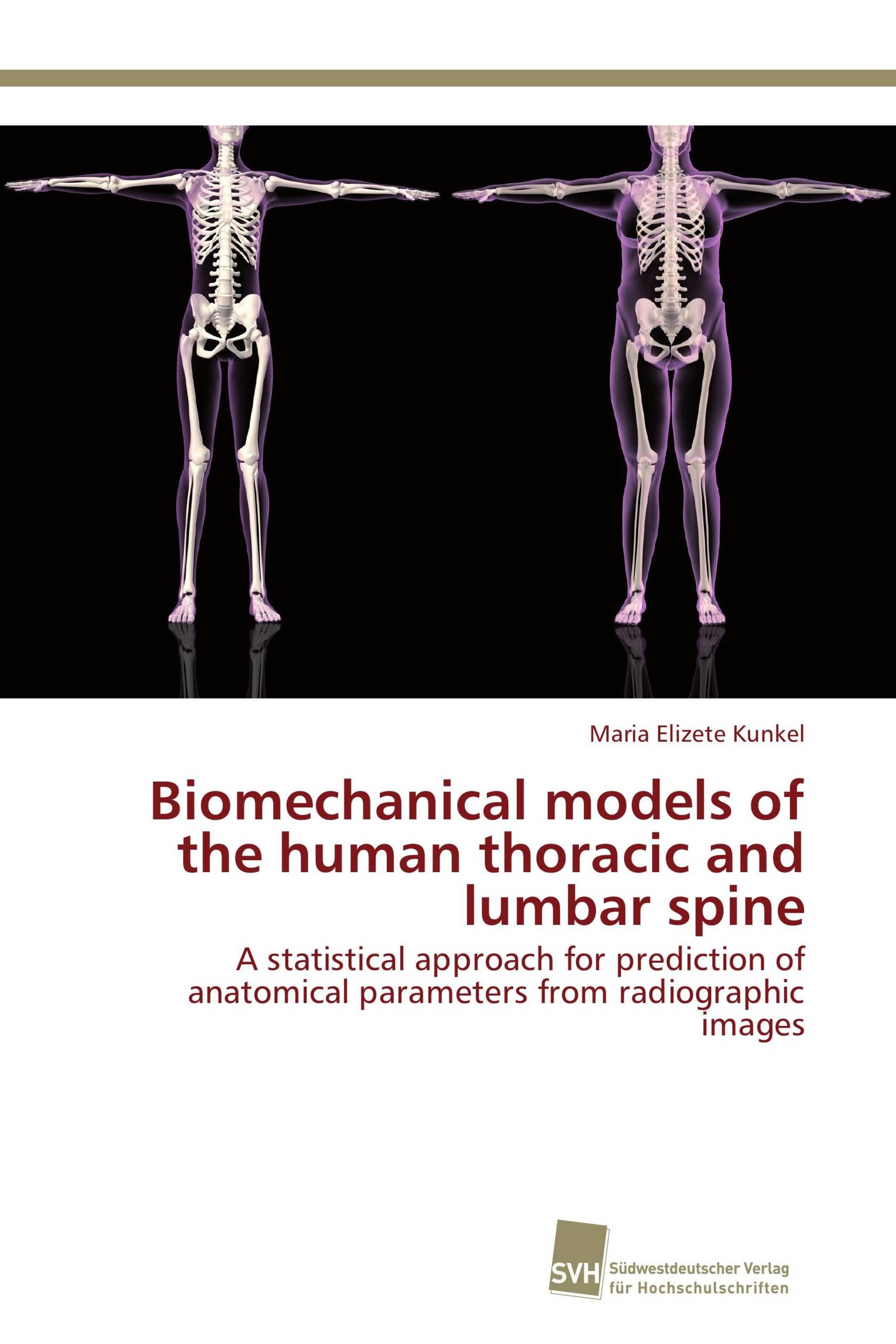 Biomechanical models of the human thoracic and lumbar spine