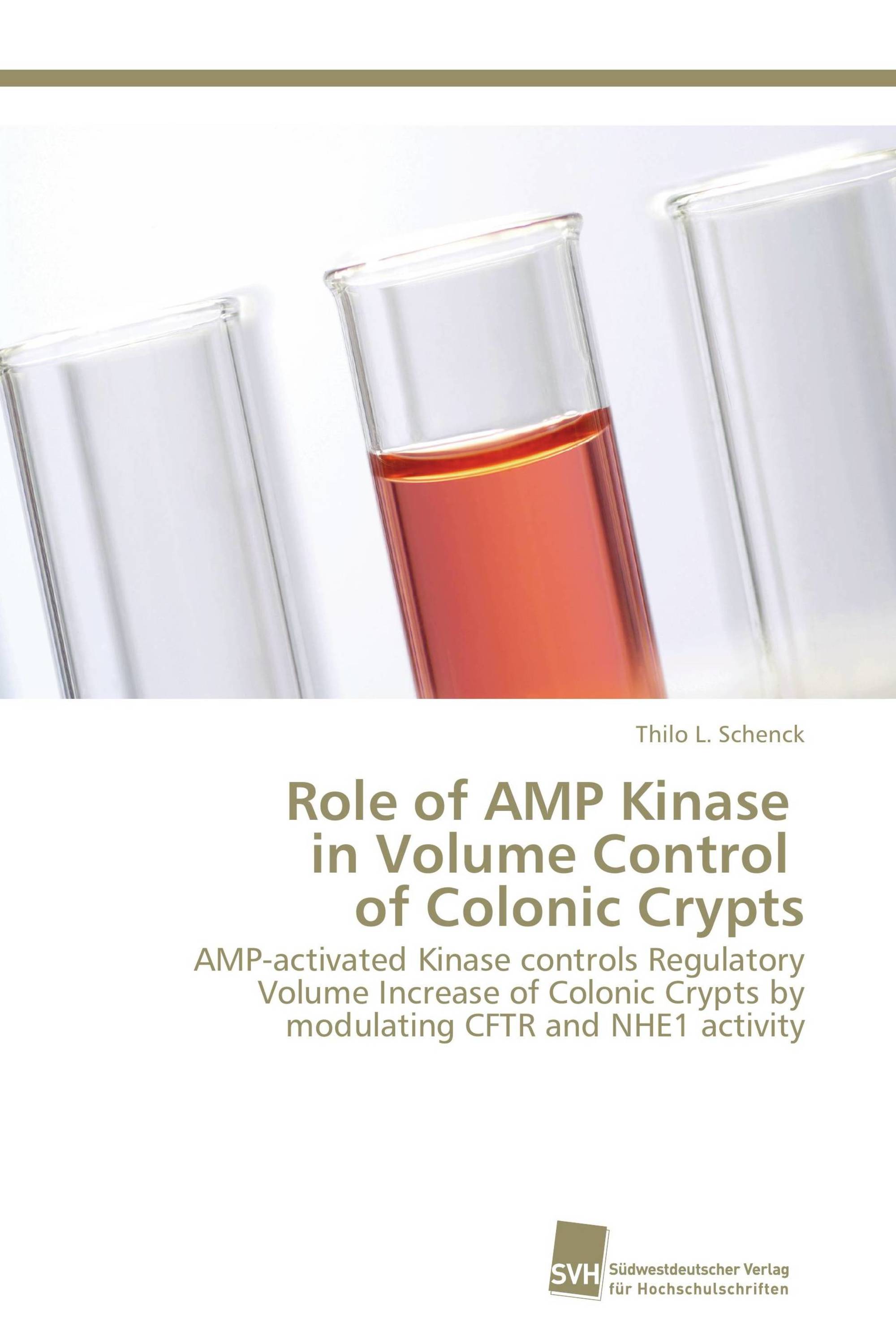 Role of AMP Kinase in Volume Control of Colonic Crypts