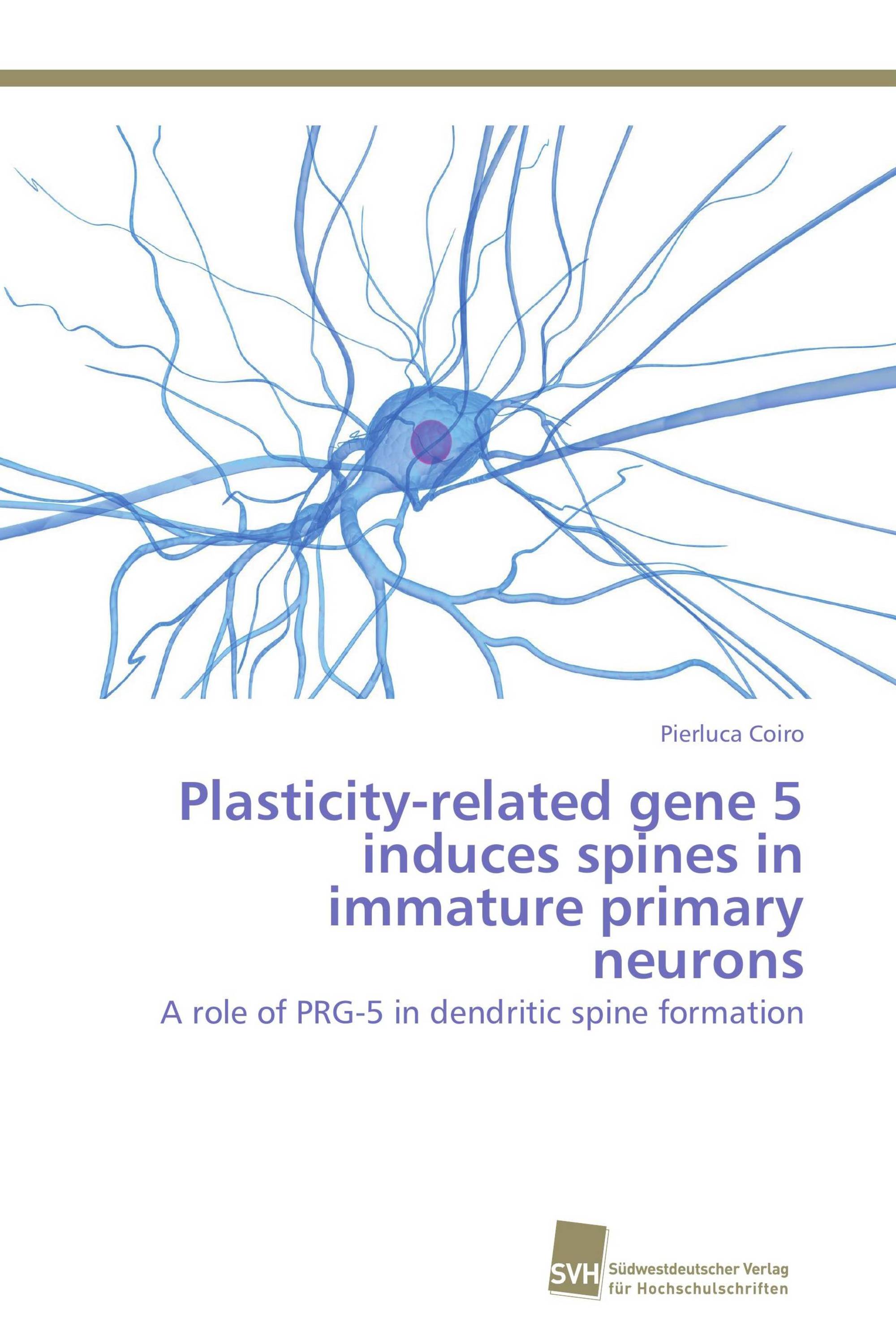 Plasticity-related gene 5 induces spines in immature primary neurons