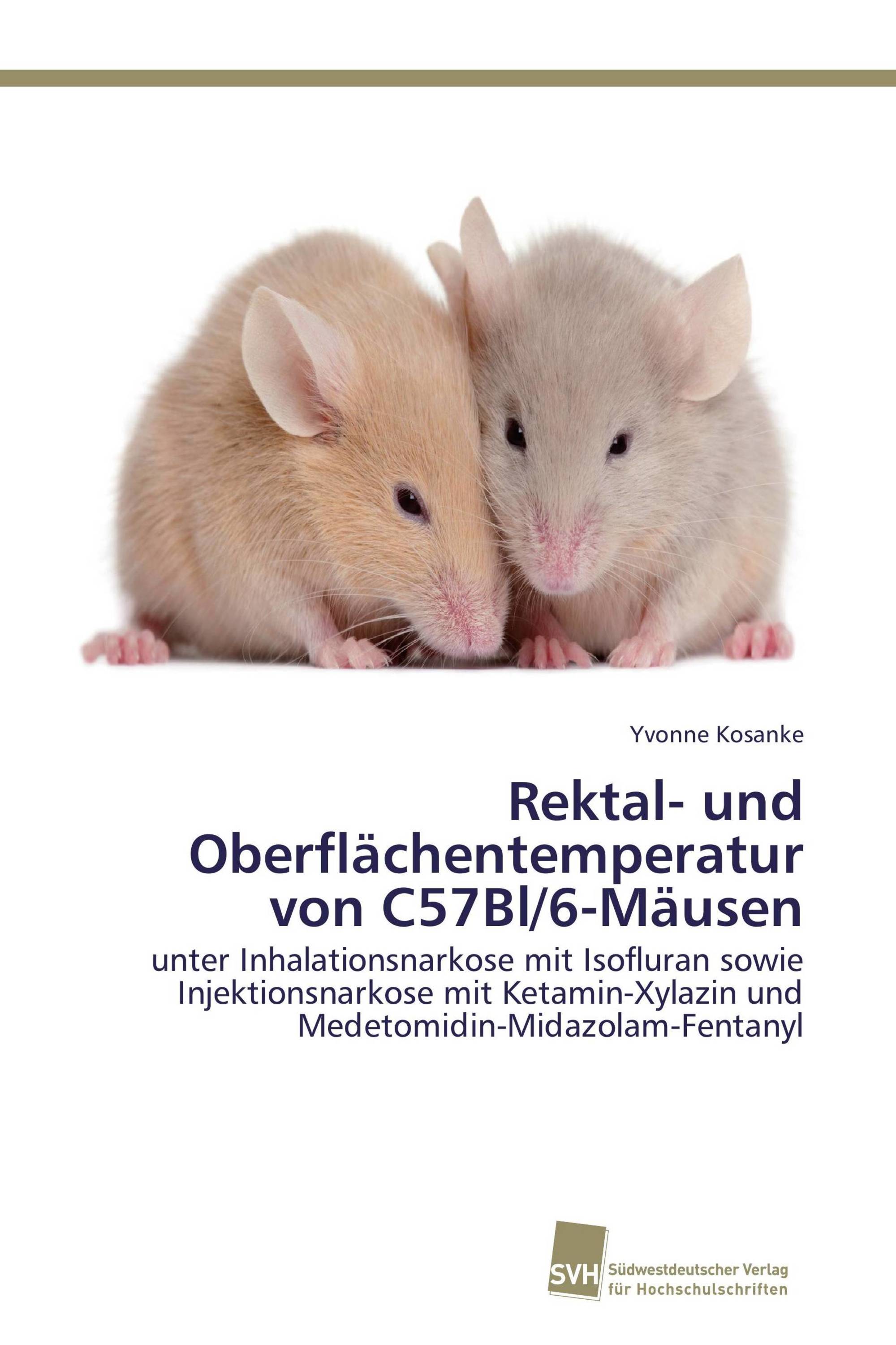 Rektal- und Oberflächentemperatur von C57Bl/6-Mäusen