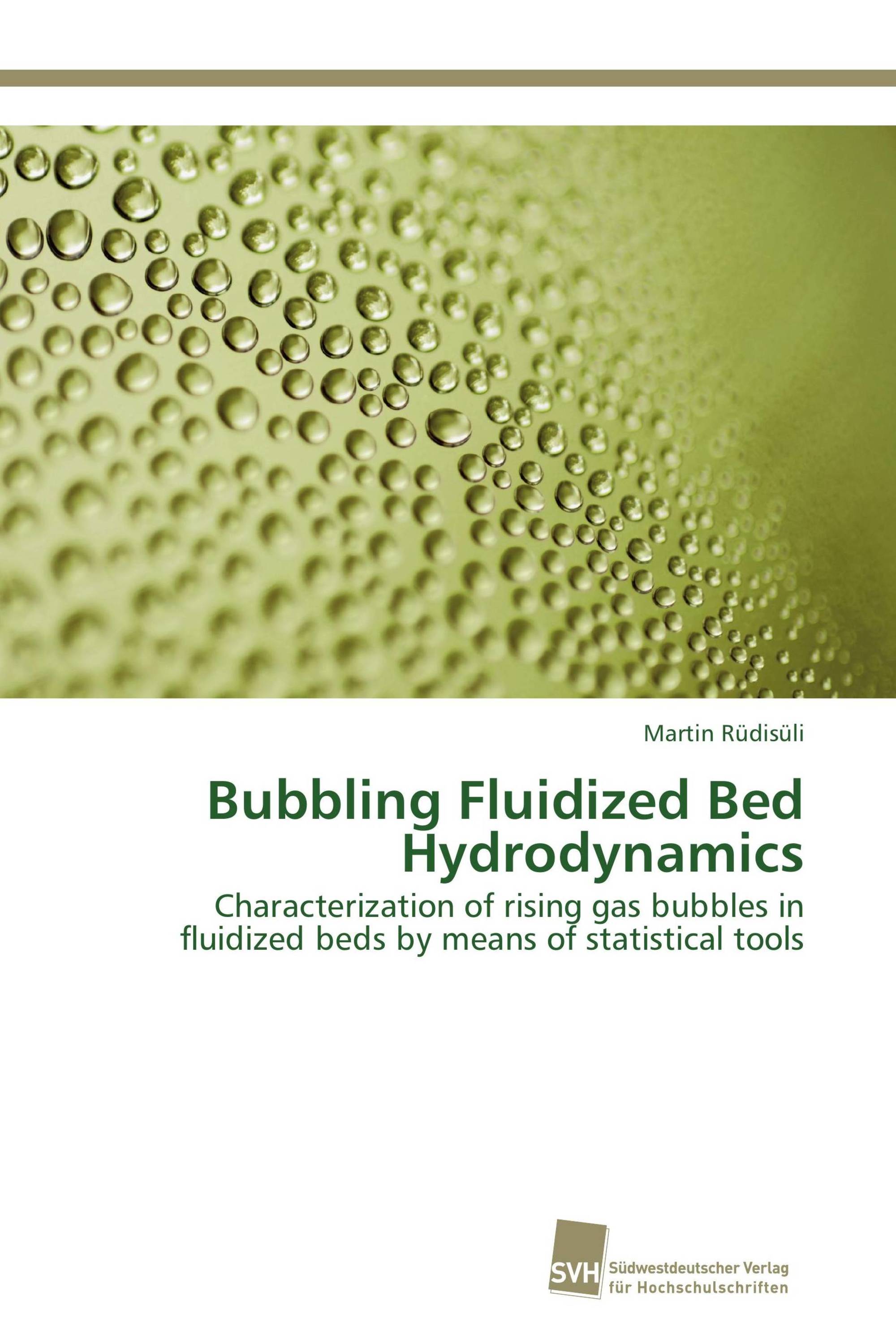 Bubbling Fluidized Bed Hydrodynamics