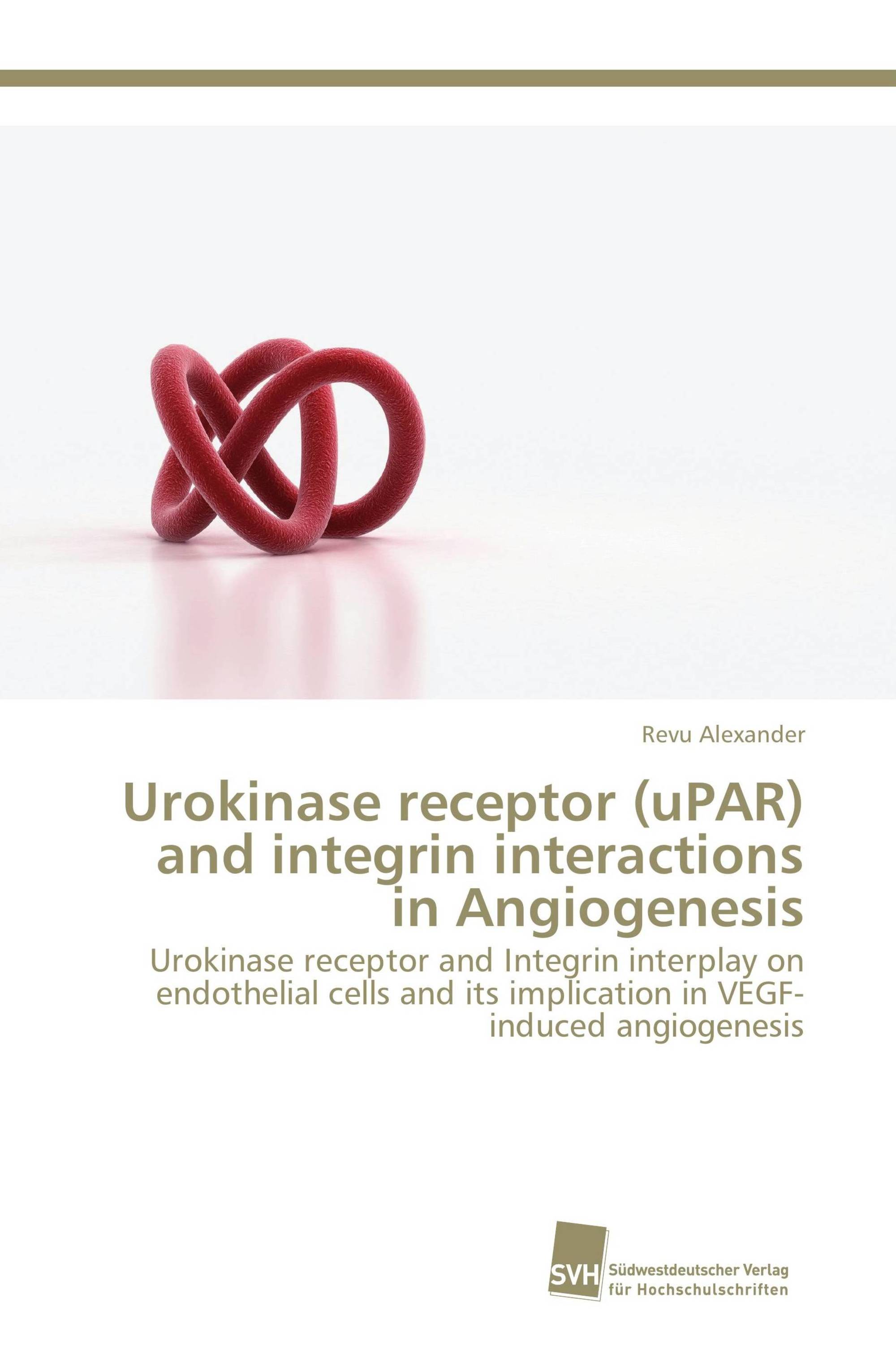 Urokinase receptor (uPAR) and integrin interactions in Angiogenesis