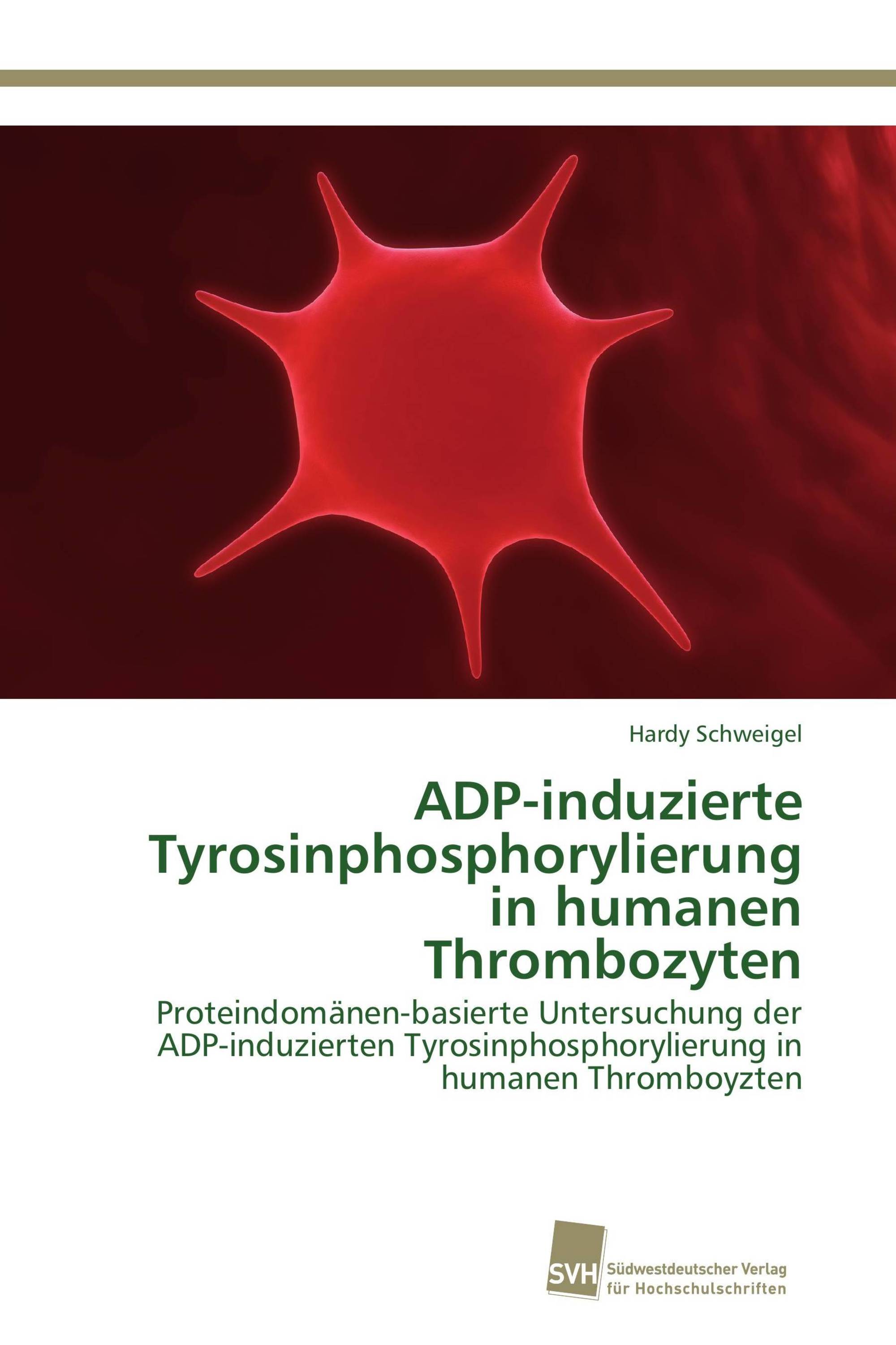 ADP-induzierte Tyrosinphosphorylierung in humanen Thrombozyten