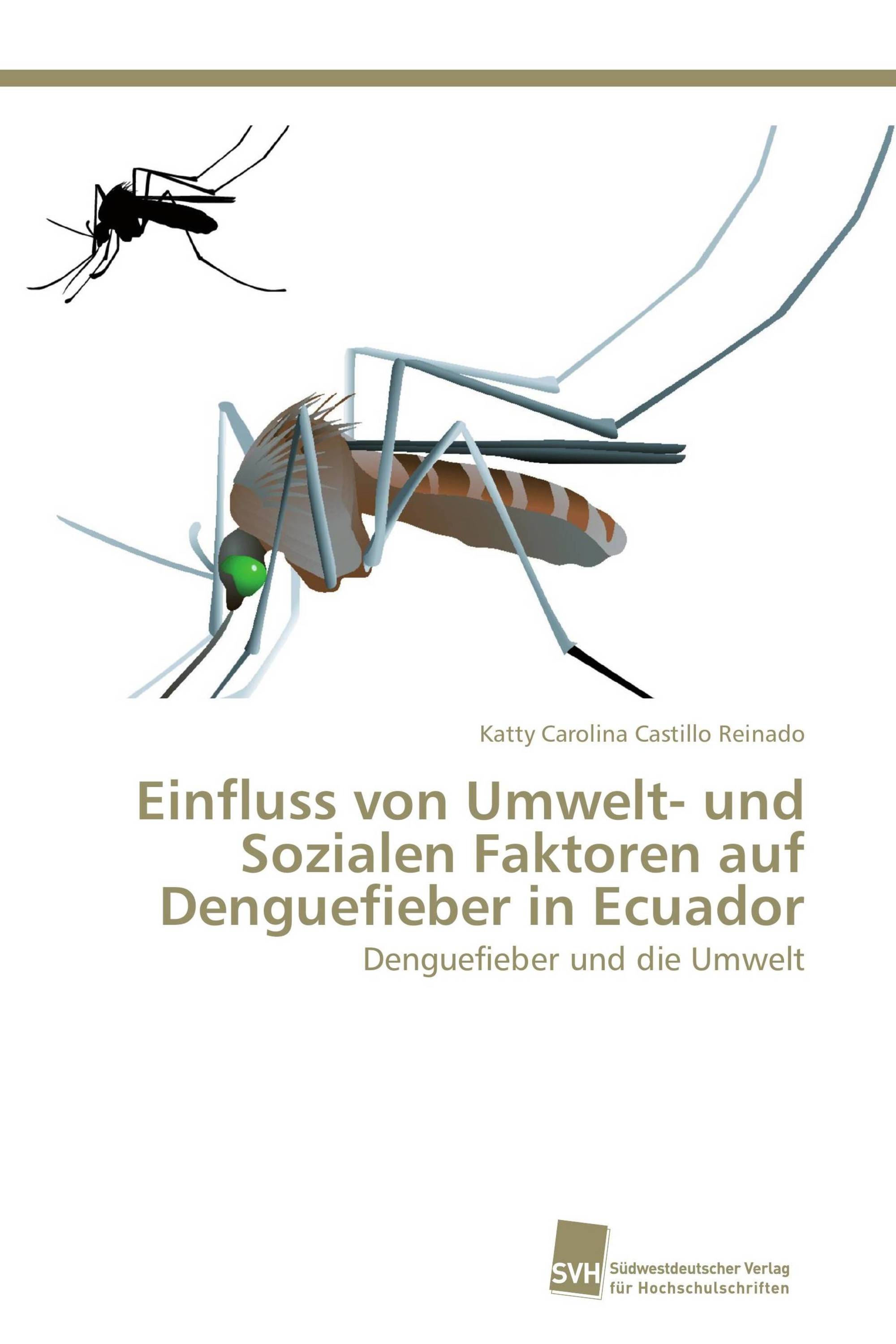 Einfluss von Umwelt- und Sozialen Faktoren auf Denguefieber in Ecuador