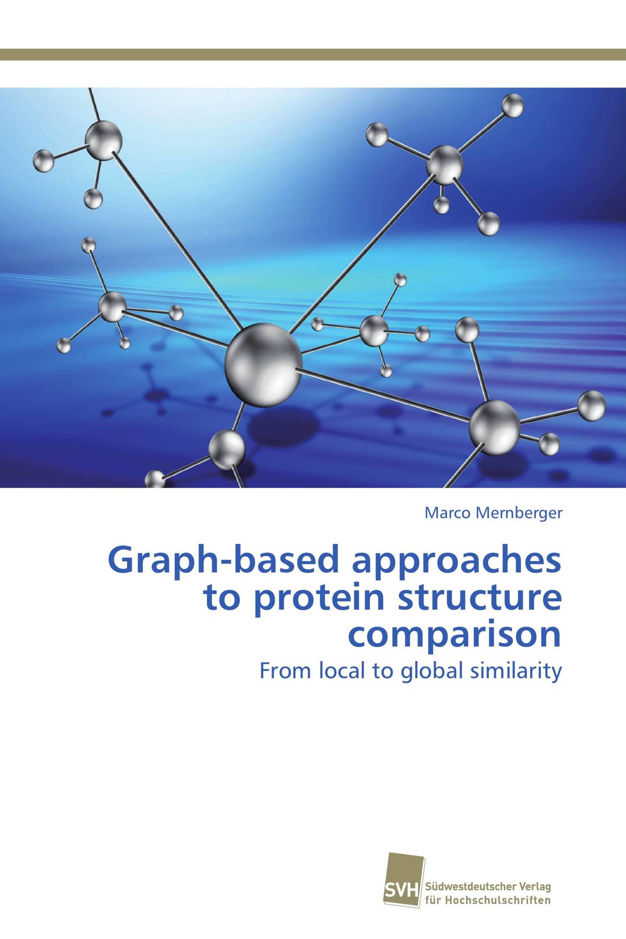 Graph-based approaches to protein structure comparison