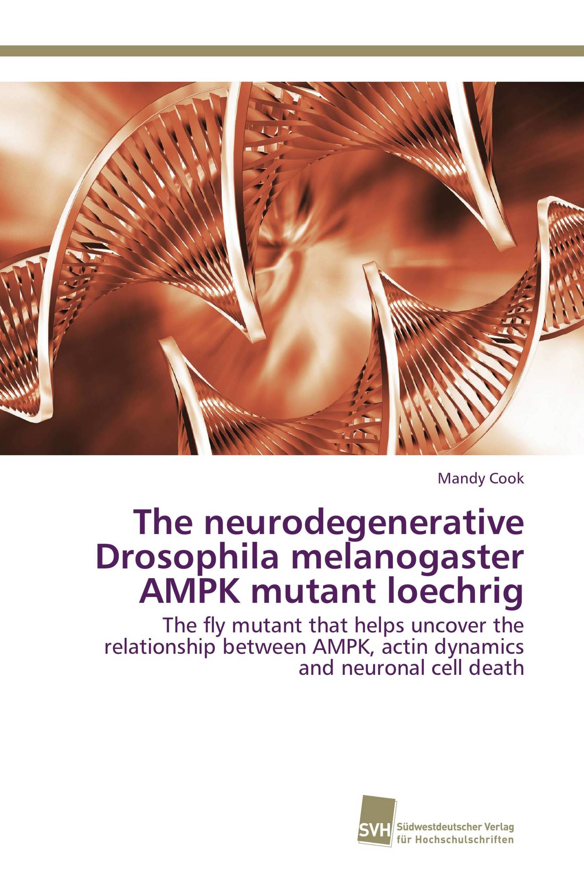 The neurodegenerative Drosophila melanogaster AMPK mutant loechrig