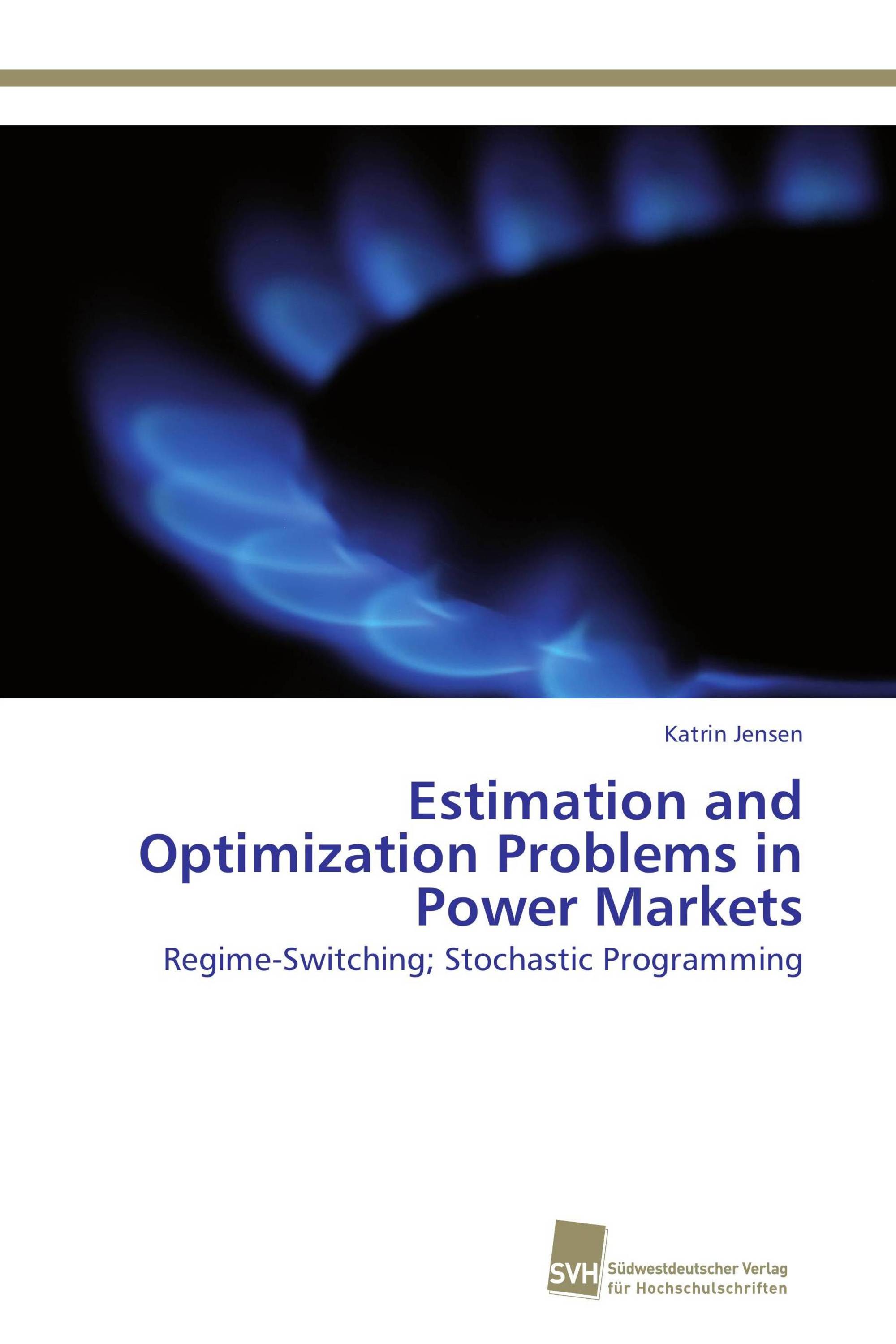 Estimation and Optimization Problems in Power Markets