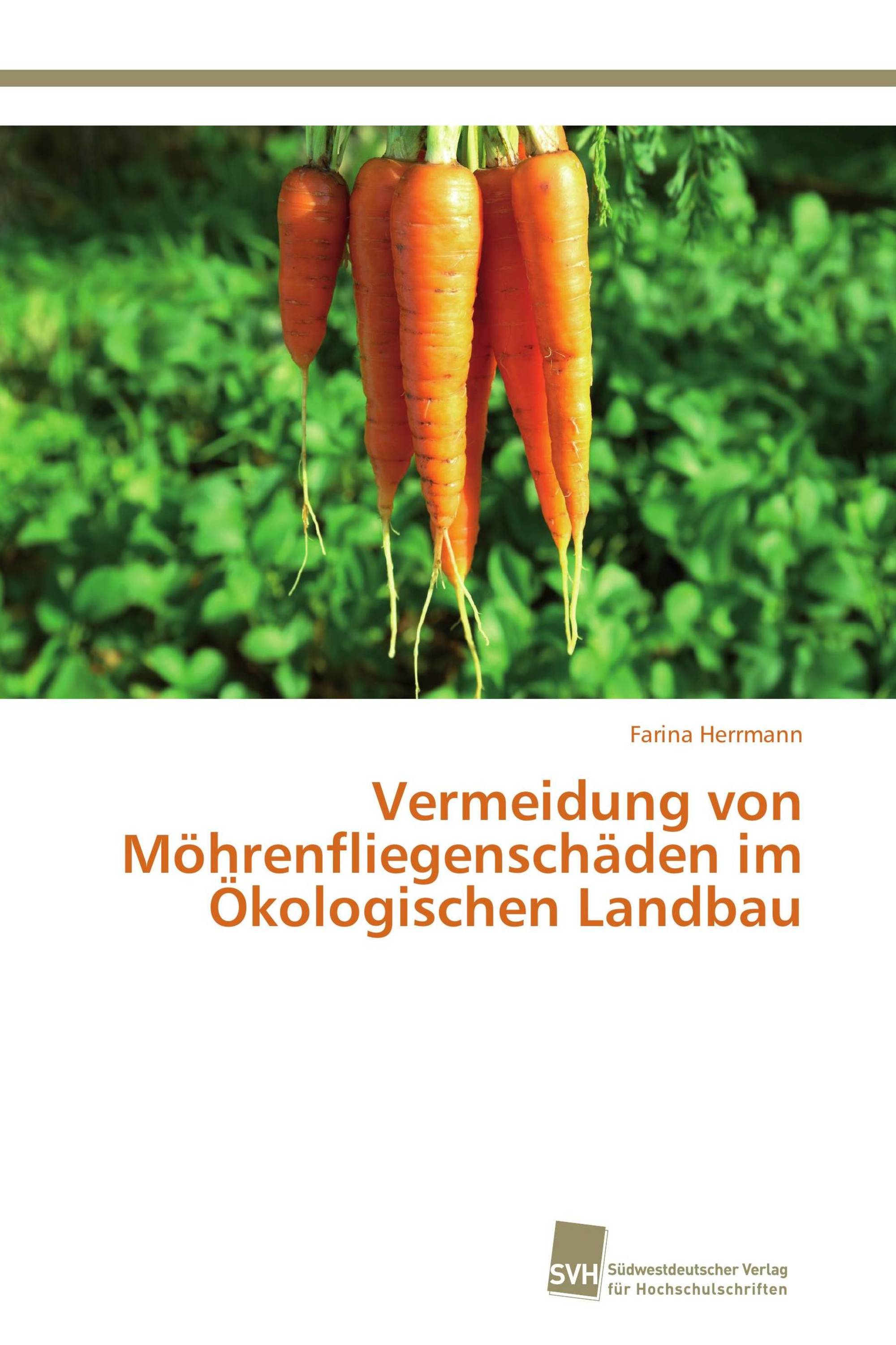 Vermeidung von Möhrenfliegenschäden im Ökologischen Landbau