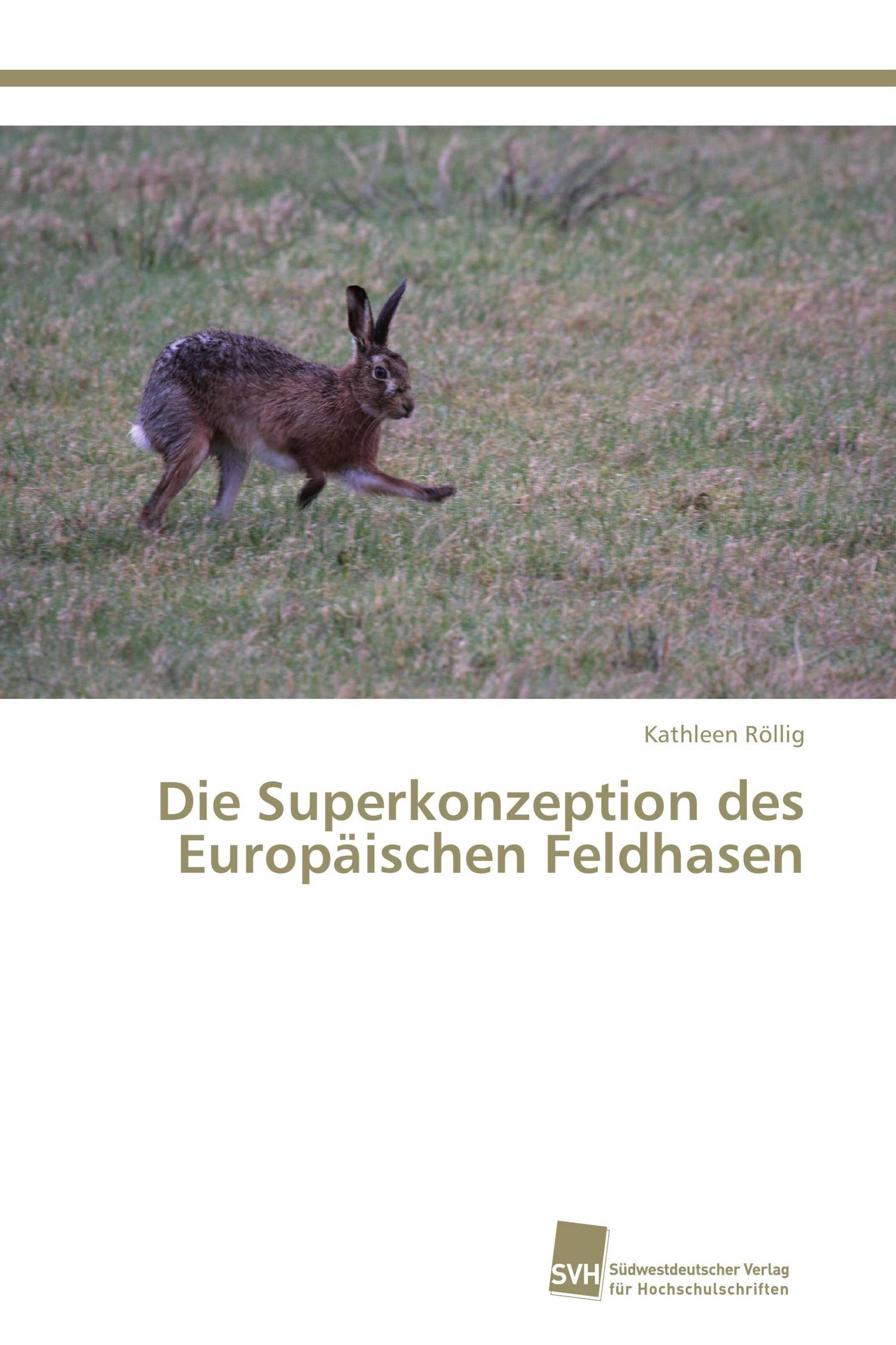 Die Superkonzeption des Europäischen Feldhasen