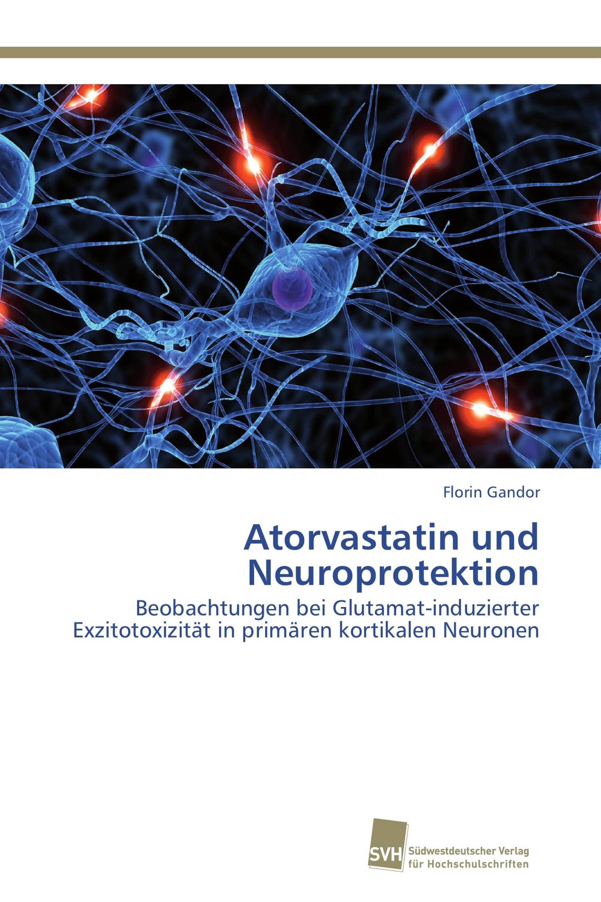 Atorvastatin und Neuroprotektion