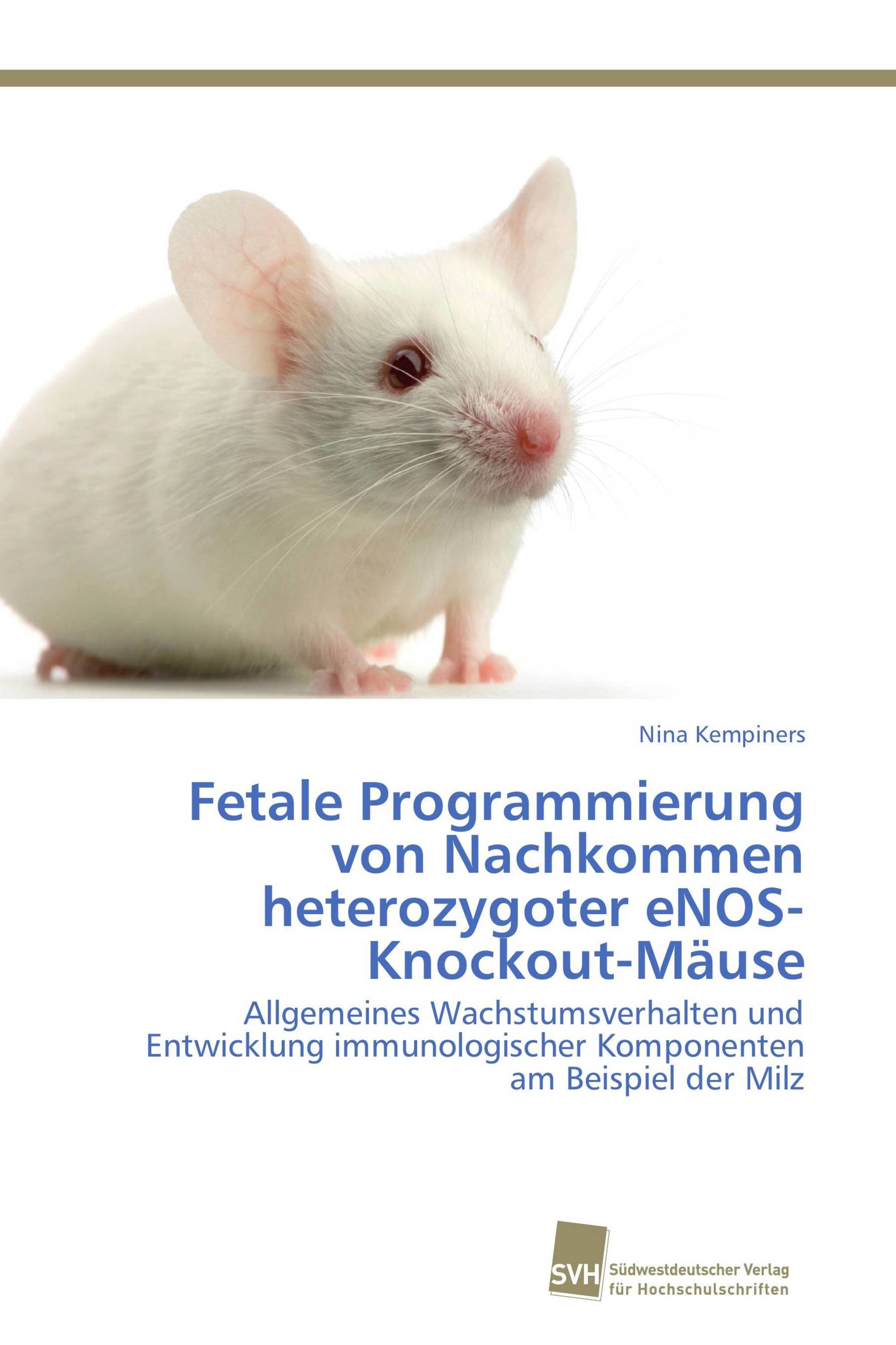 Fetale Programmierung von Nachkommen heterozygoter eNOS-Knockout-Mäuse