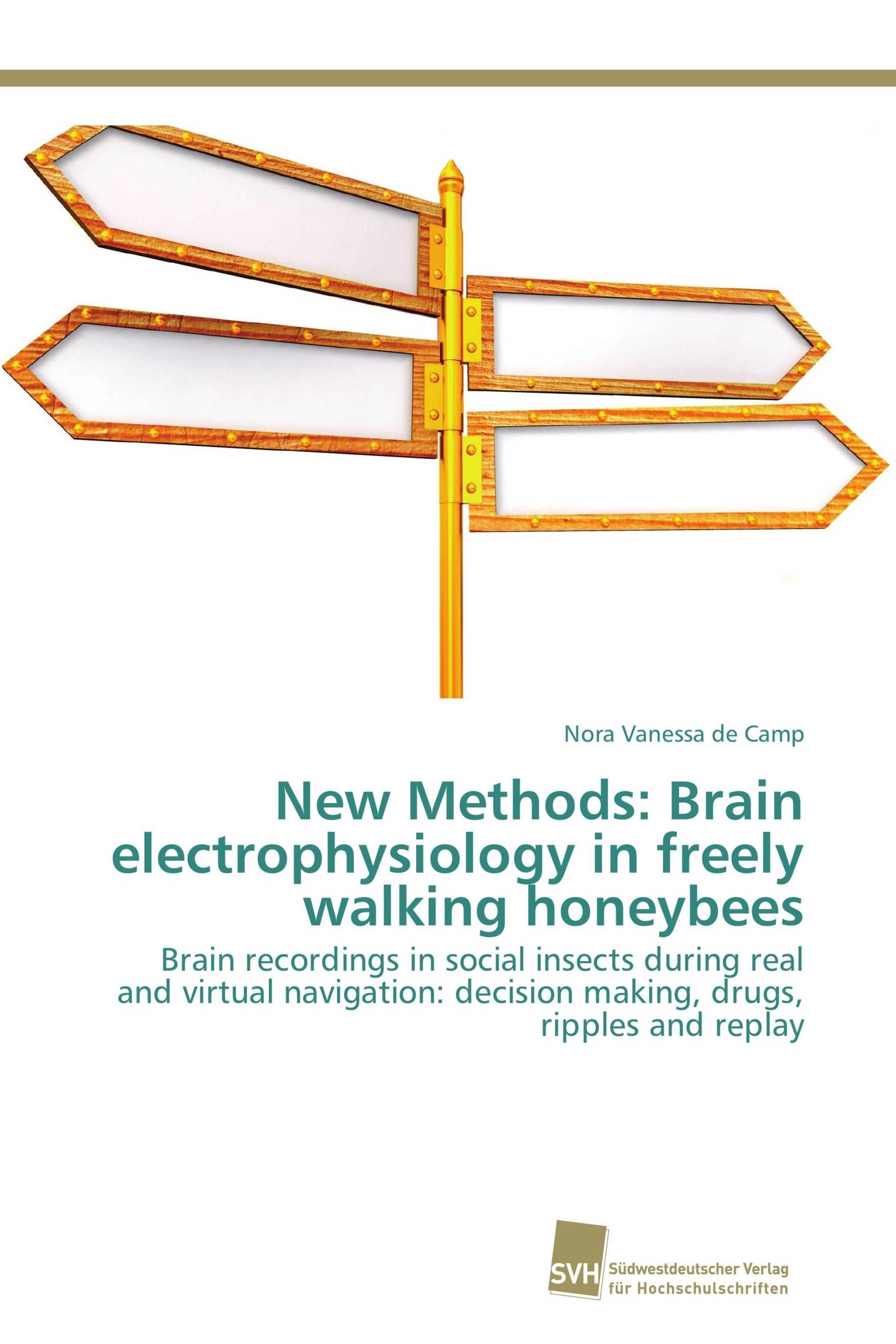 New Methods: Brain electrophysiology in freely walking honeybees