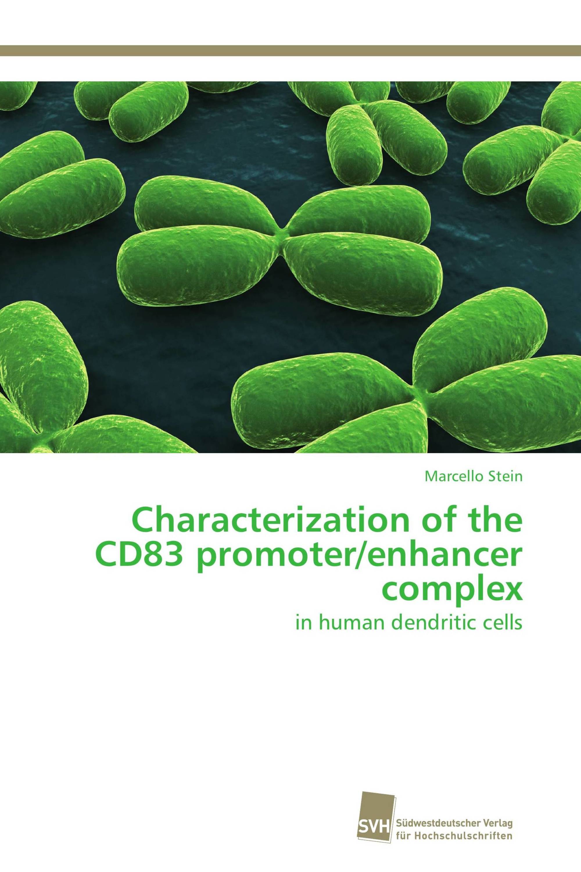 Characterization of the CD83 promoter/enhancer complex