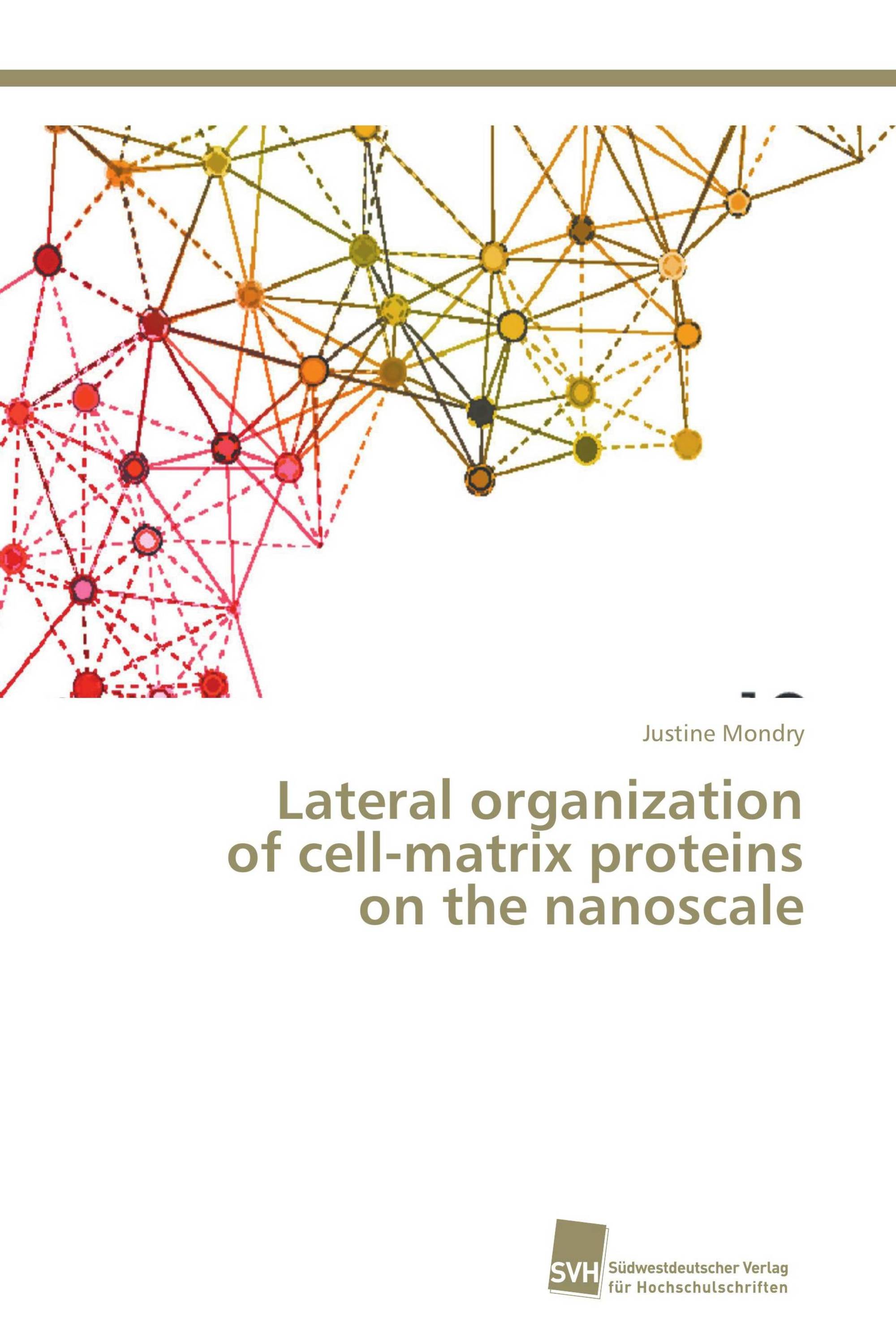 Lateral organization of cell-matrix proteins on the nanoscale