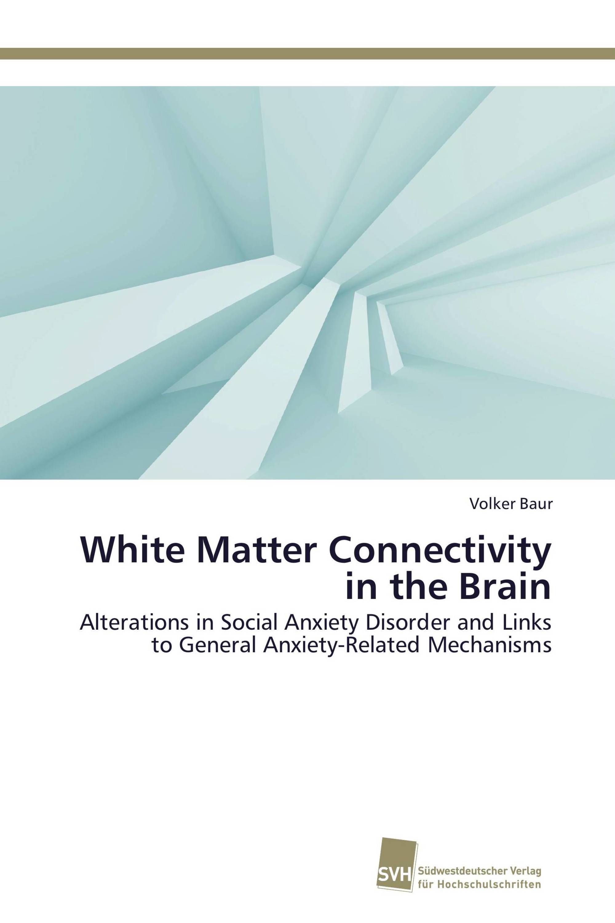 White Matter Connectivity in the Brain