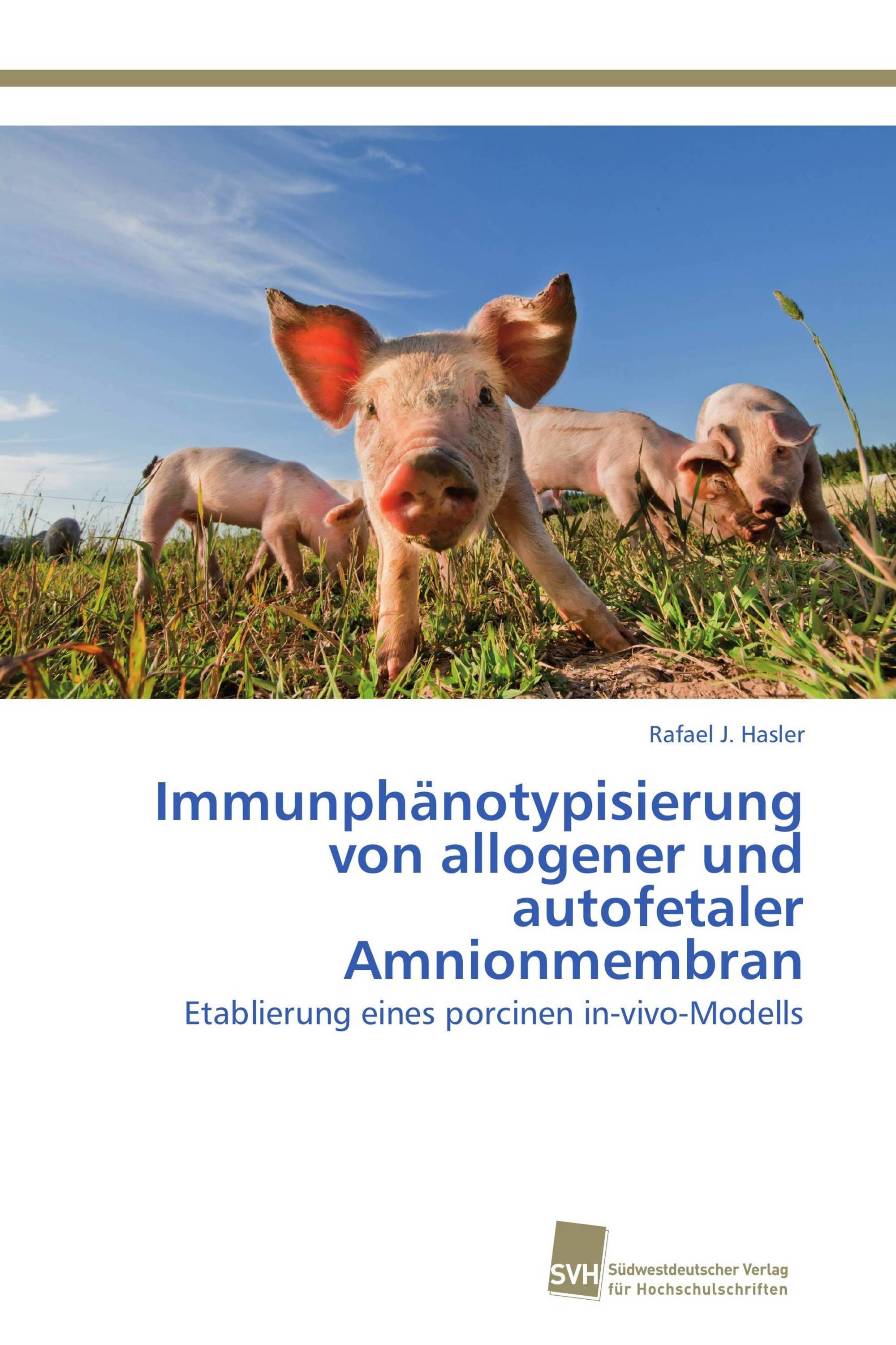 Immunphänotypisierung von allogener und autofetaler Amnionmembran