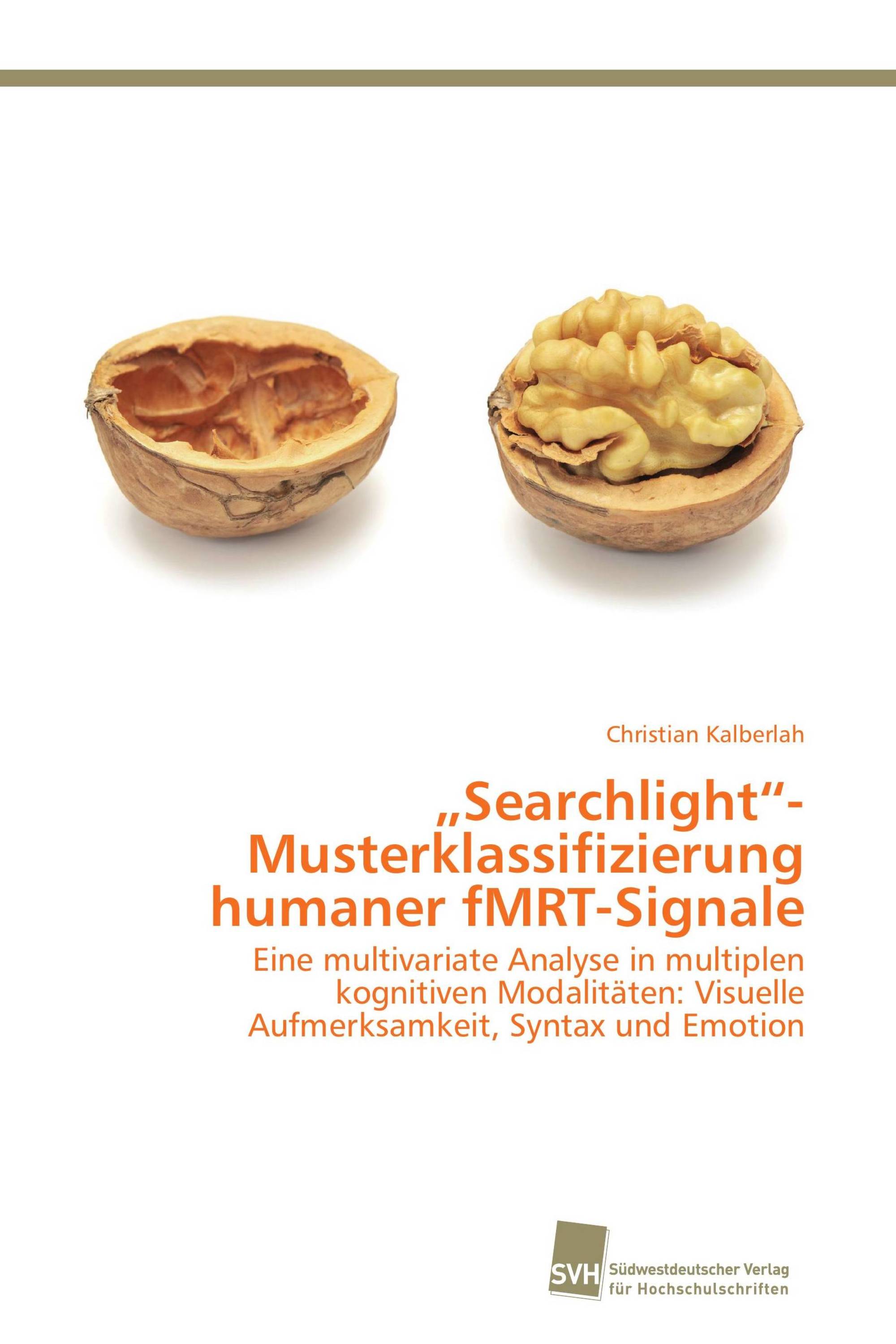 „Searchlight“- Musterklassifizierung humaner fMRT-Signale