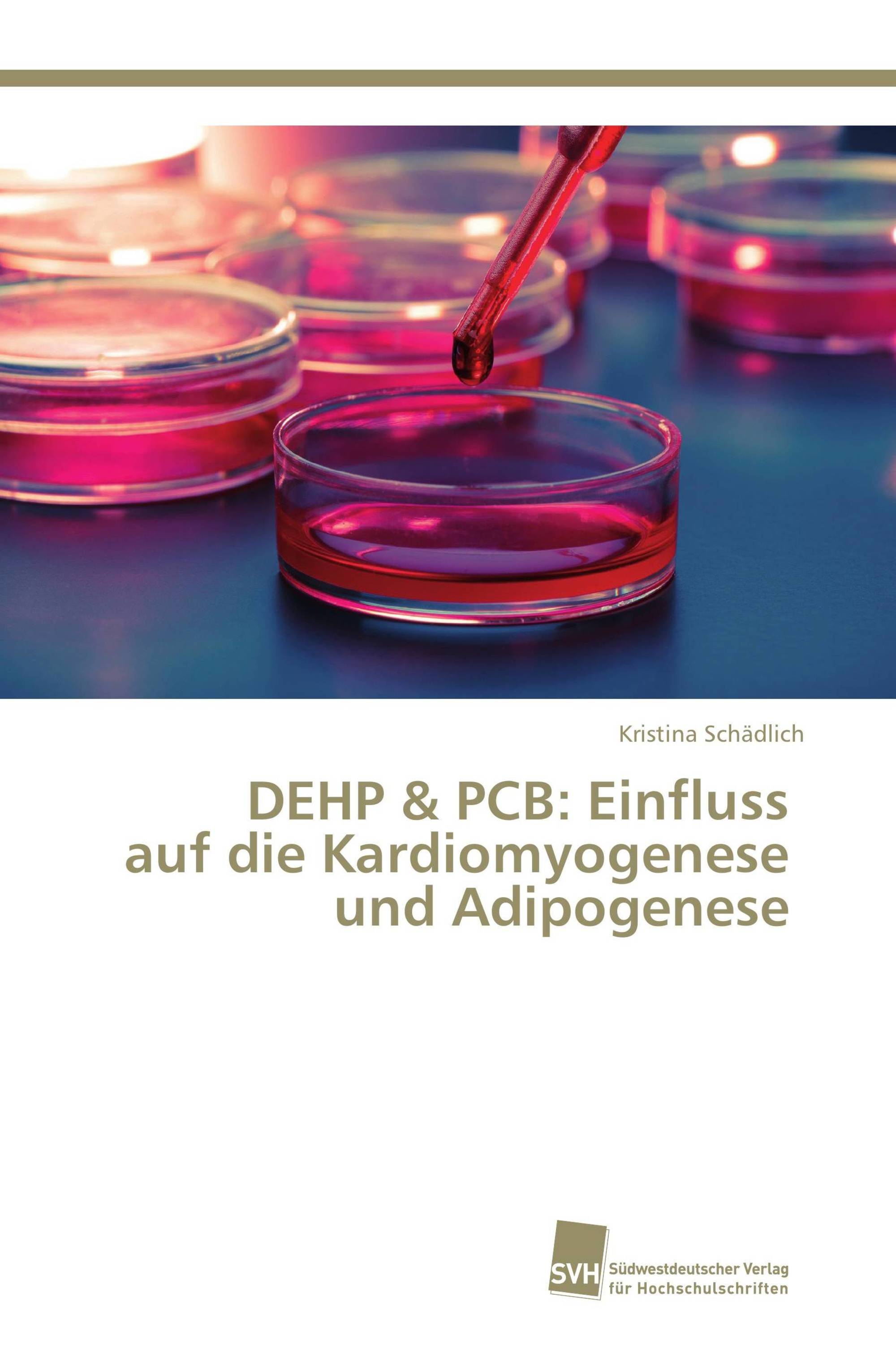 DEHP & PCB: Einfluss auf die Kardiomyogenese und Adipogenese