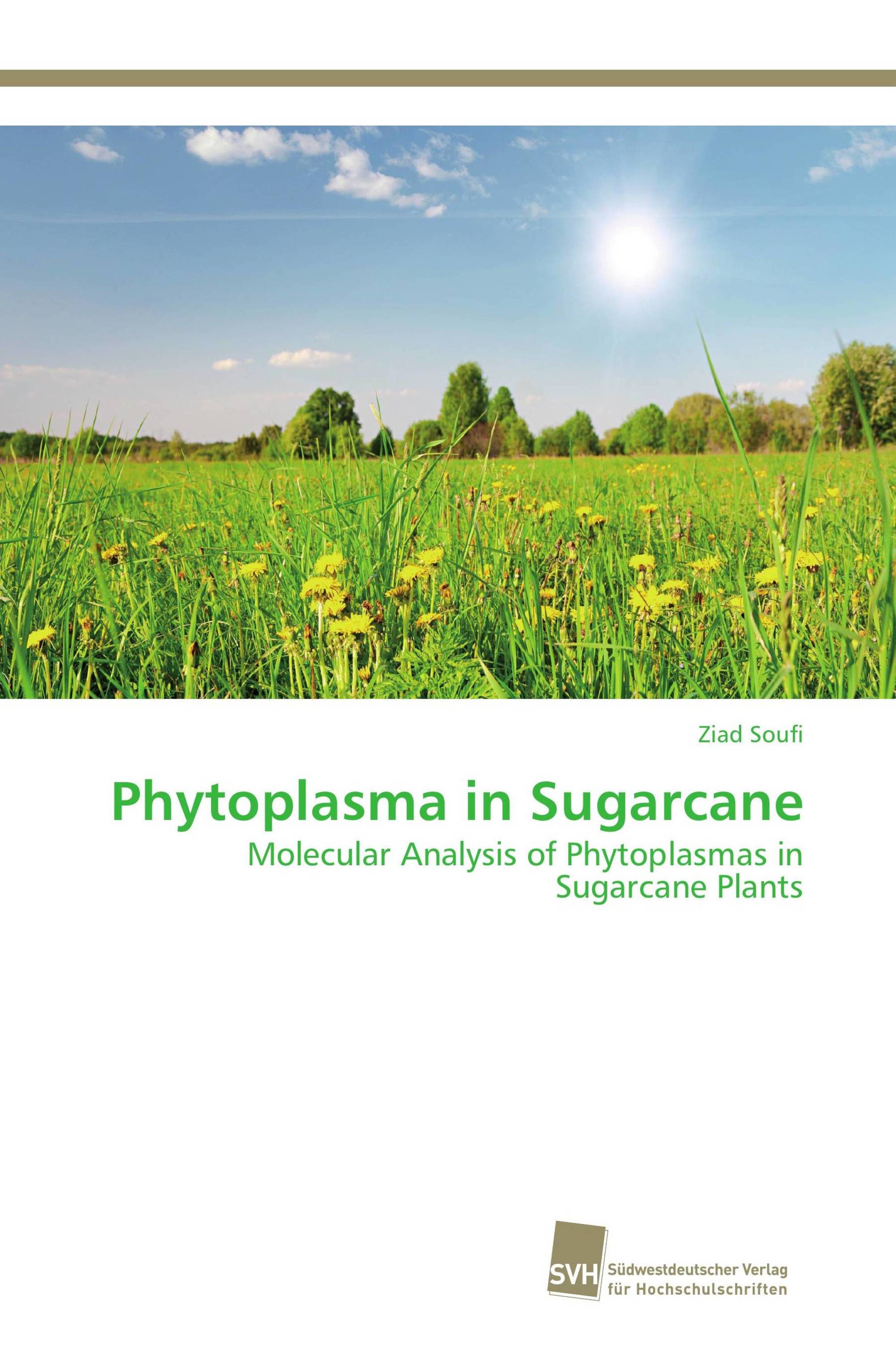 Phytoplasma in Sugarcane