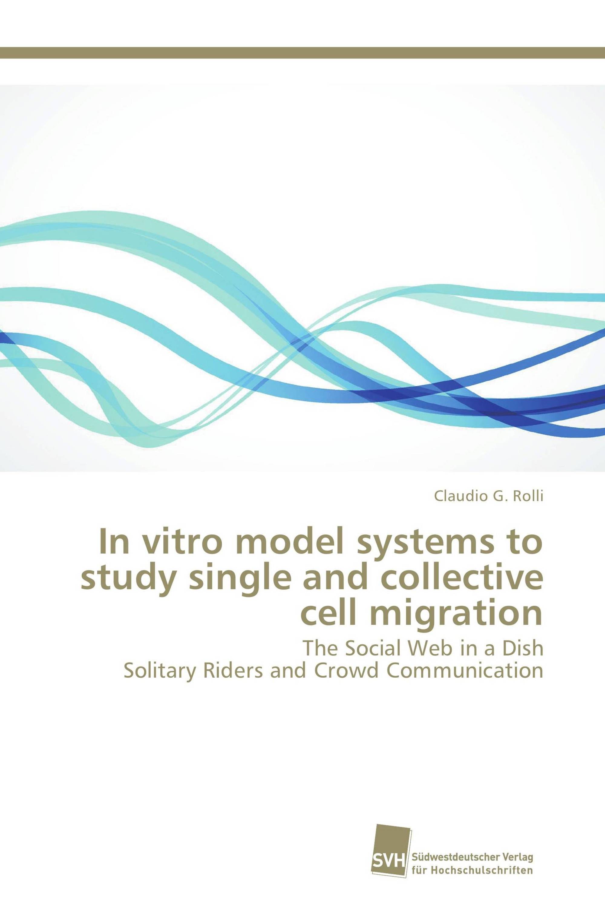 In vitro model systems to study single and collective cell migration