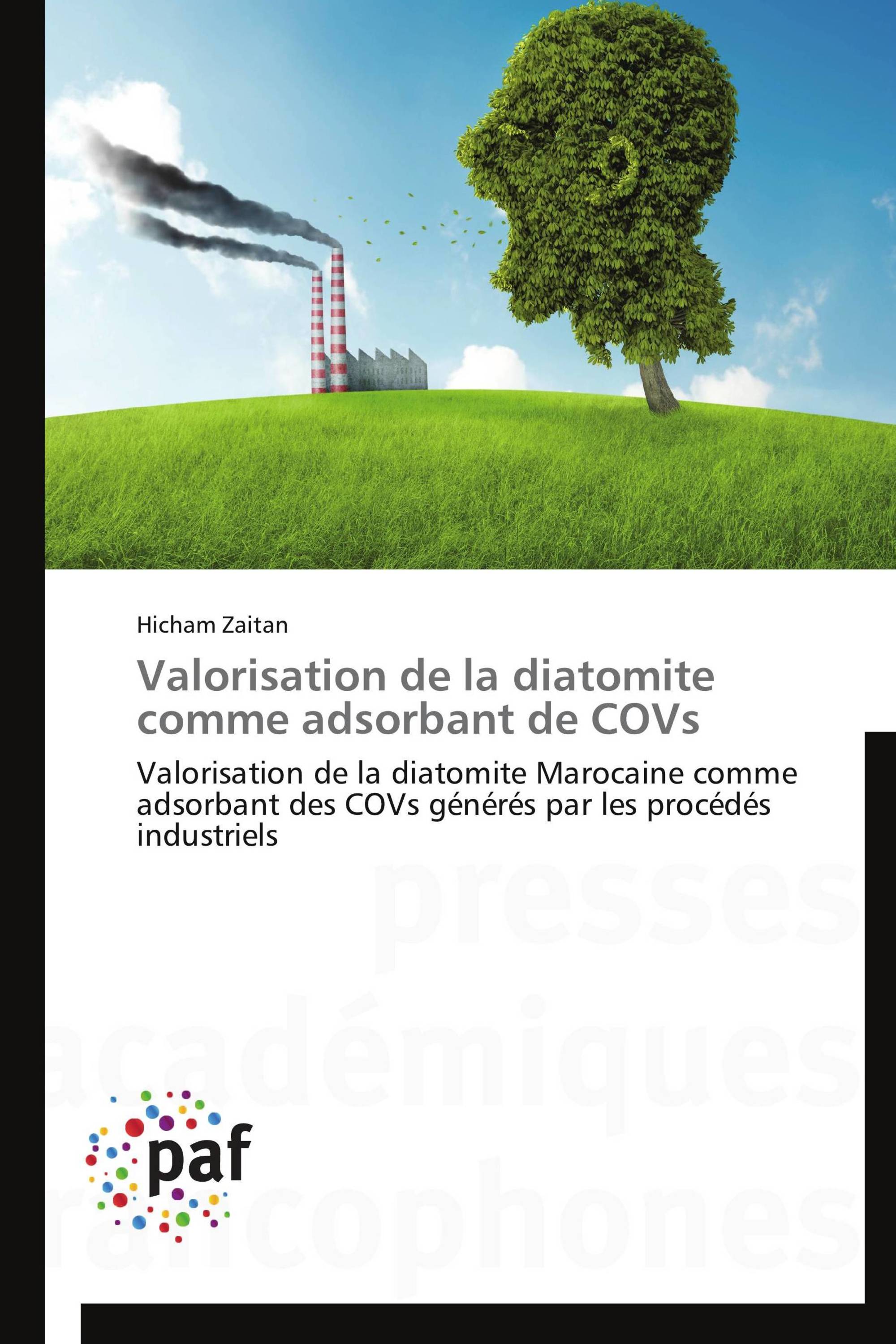 Valorisation de la diatomite comme adsorbant de COVs