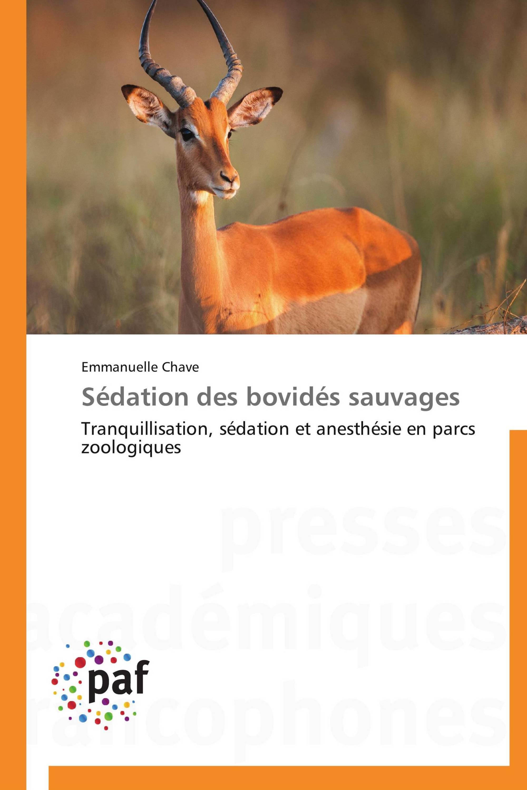 Sédation des bovidés sauvages