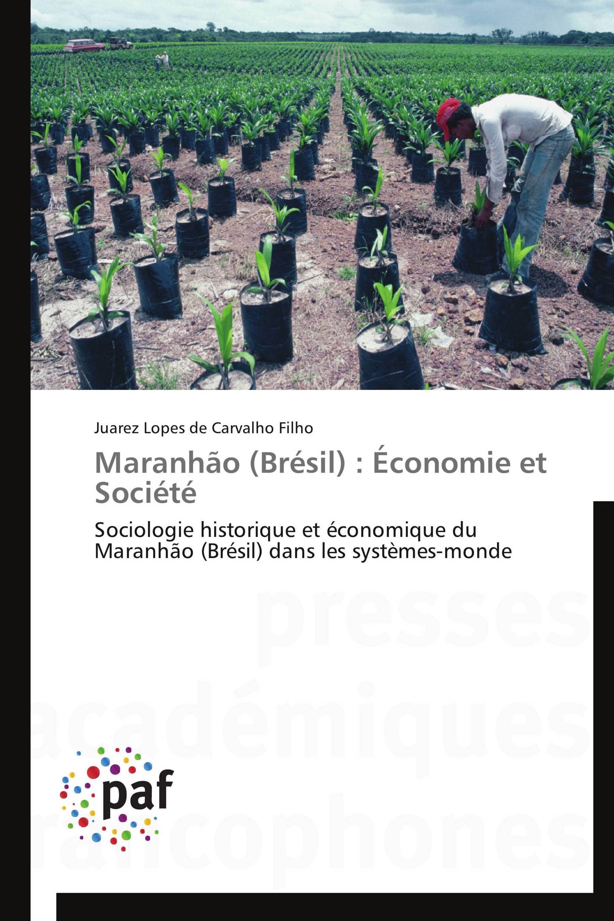 Maranhão (Brésil) : Économie et Société