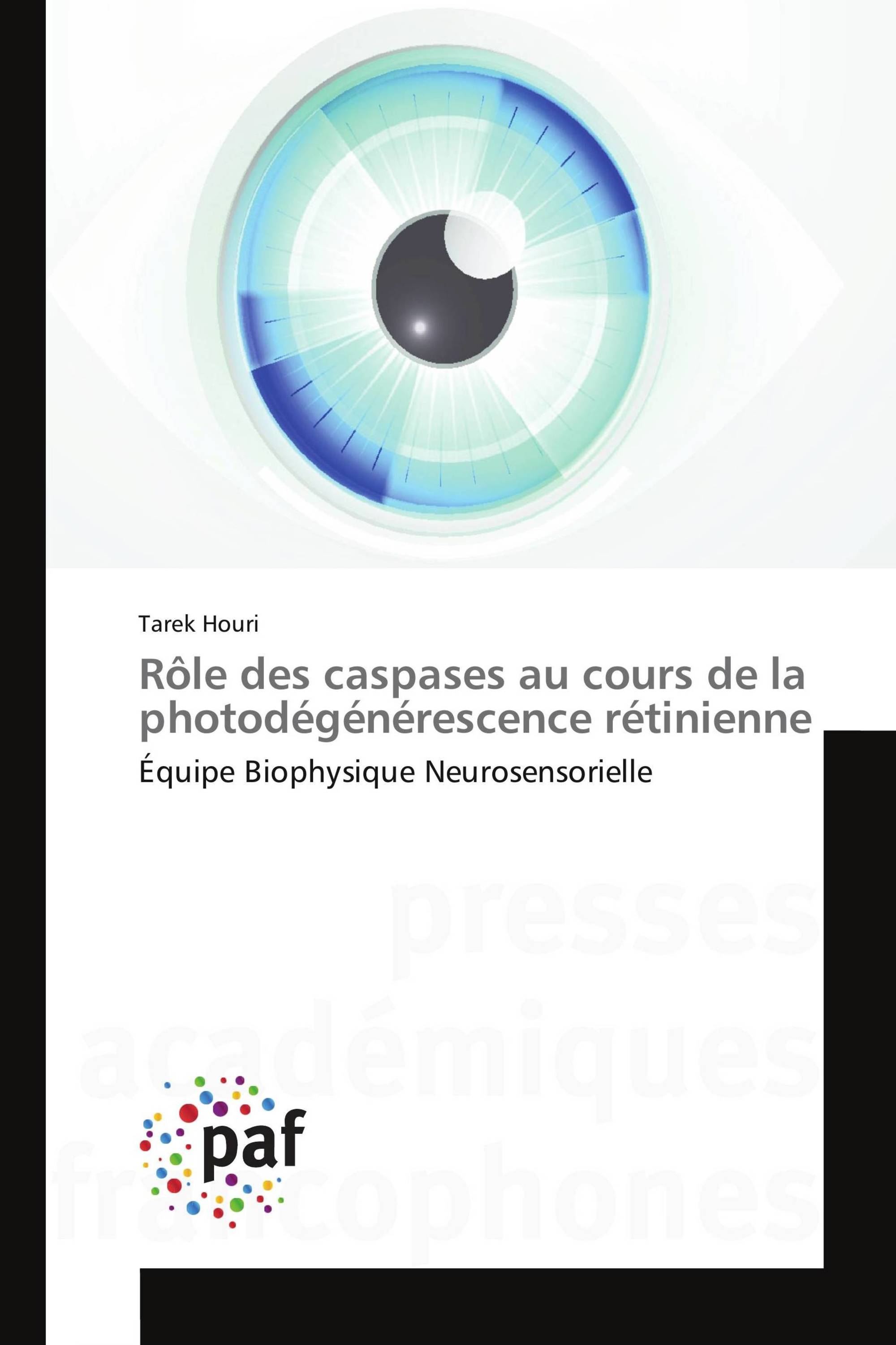 Rôle des caspases au cours de la photodégénérescence rétinienne