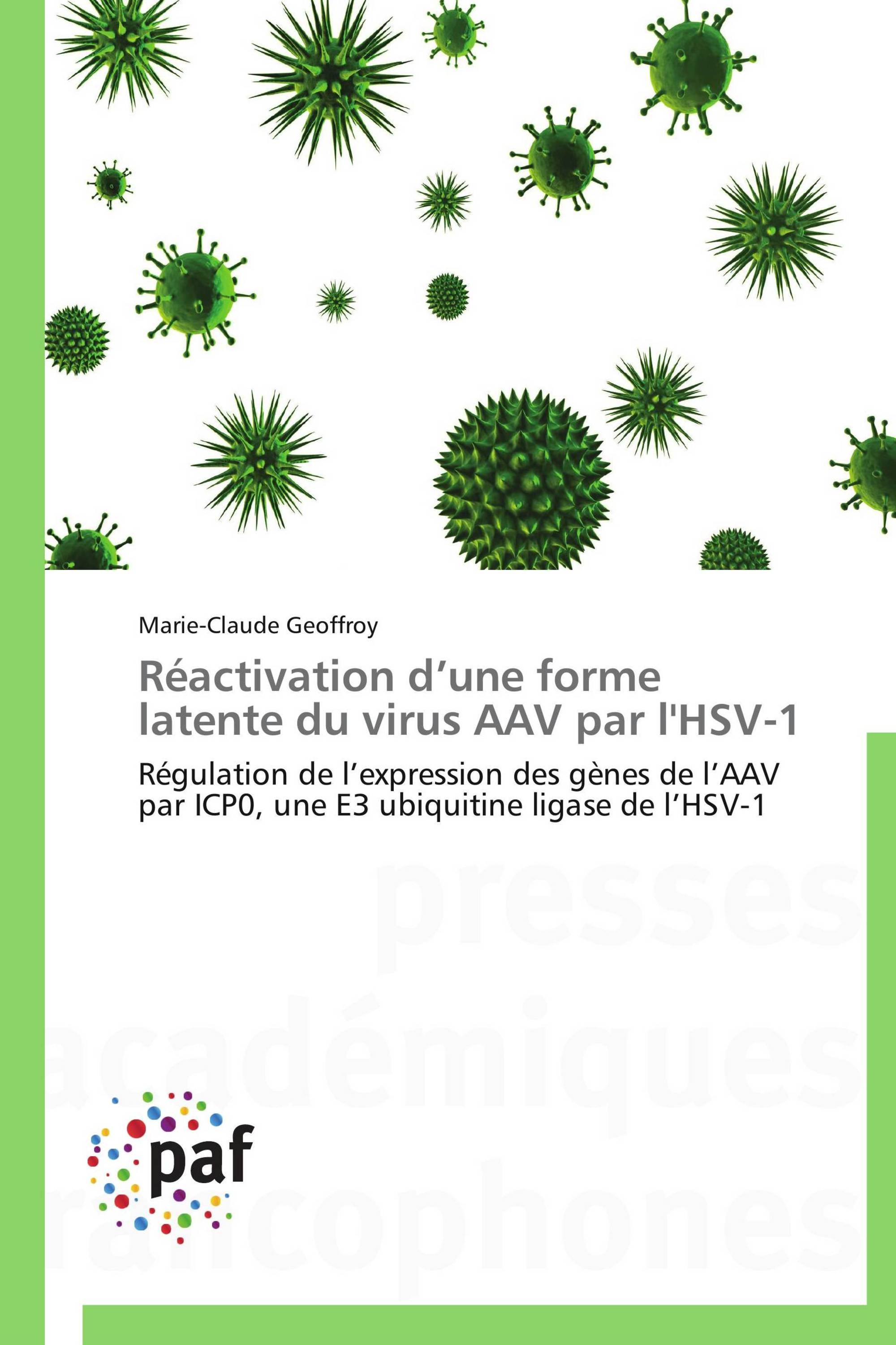 Réactivation d’une forme latente du virus AAV par l'HSV-1