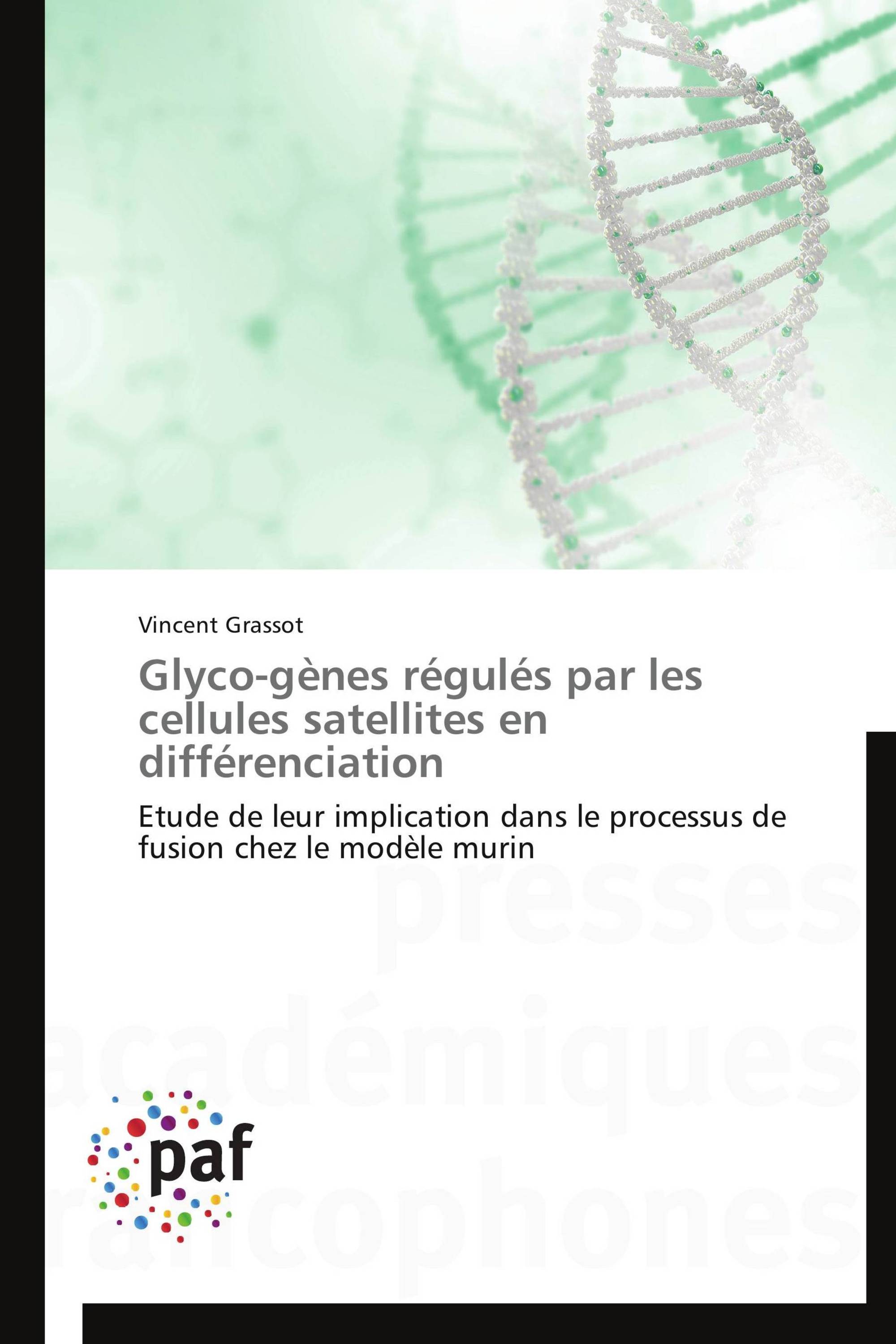 Glyco-gènes régulés par les cellules satellites en différenciation