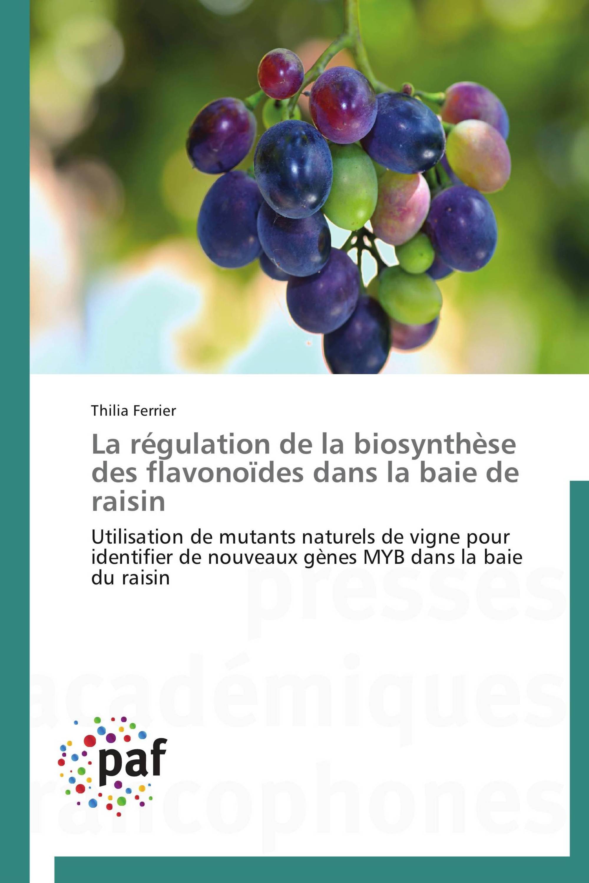 La régulation de la biosynthèse des flavonoïdes dans la baie de raisin