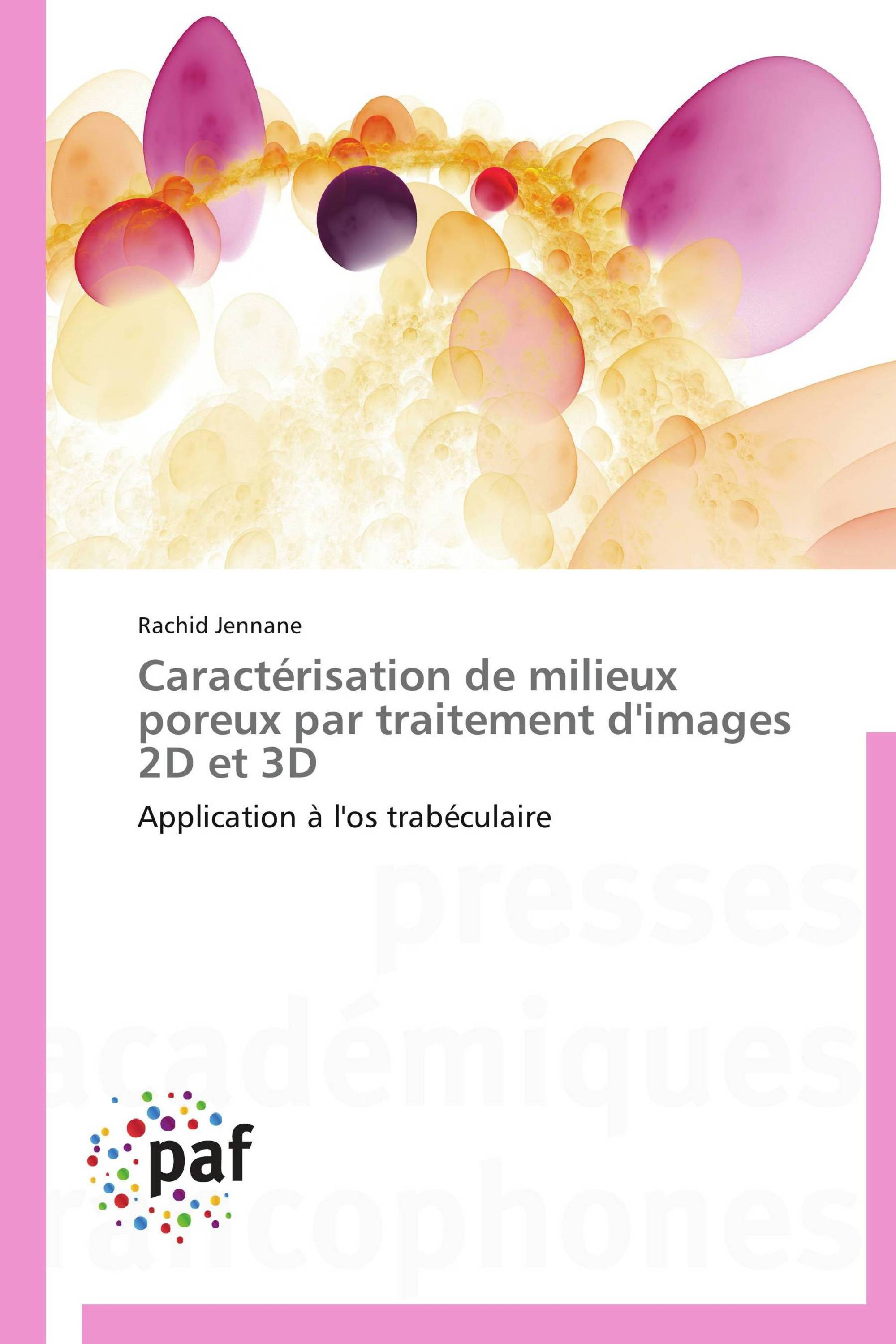 Caractérisation de milieux poreux par traitement d'images 2D et 3D