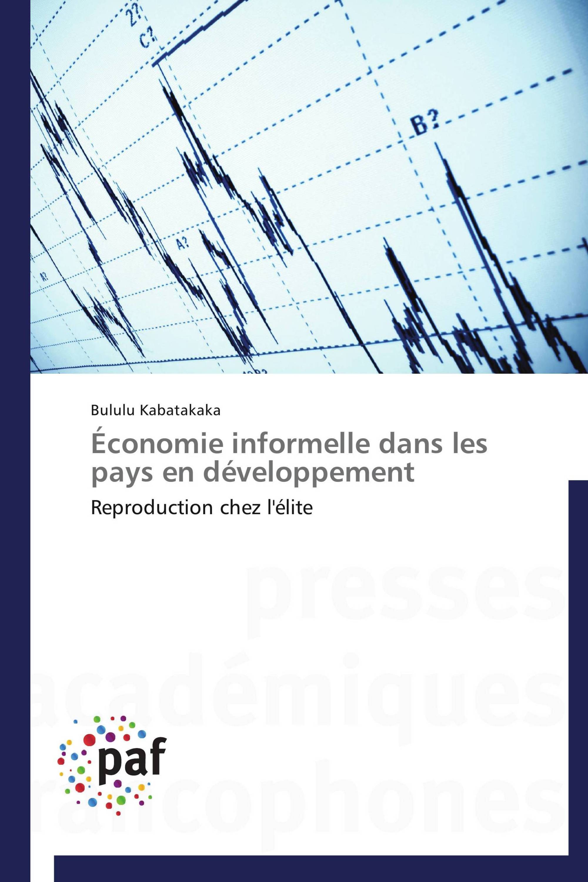 Économie informelle dans les pays en développement