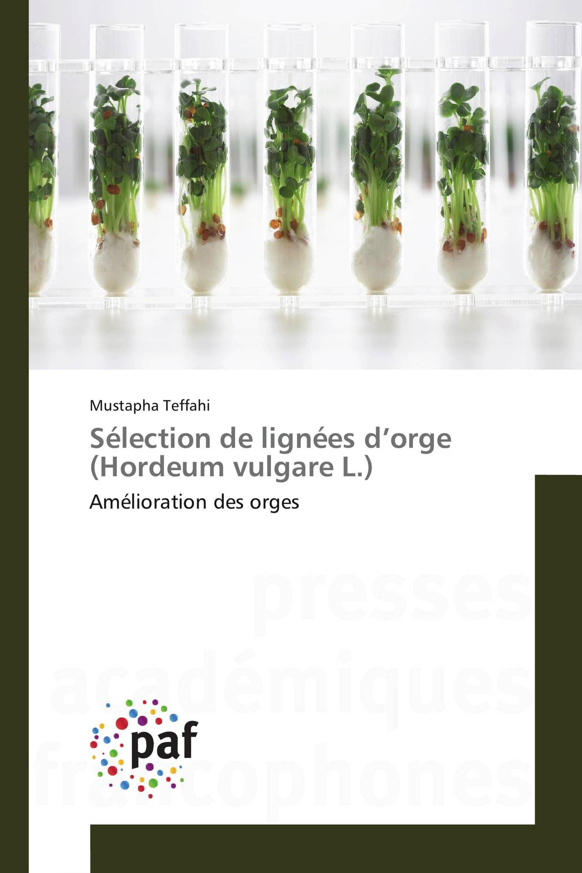 Sélection de lignées d’orge (Hordeum vulgare L.)