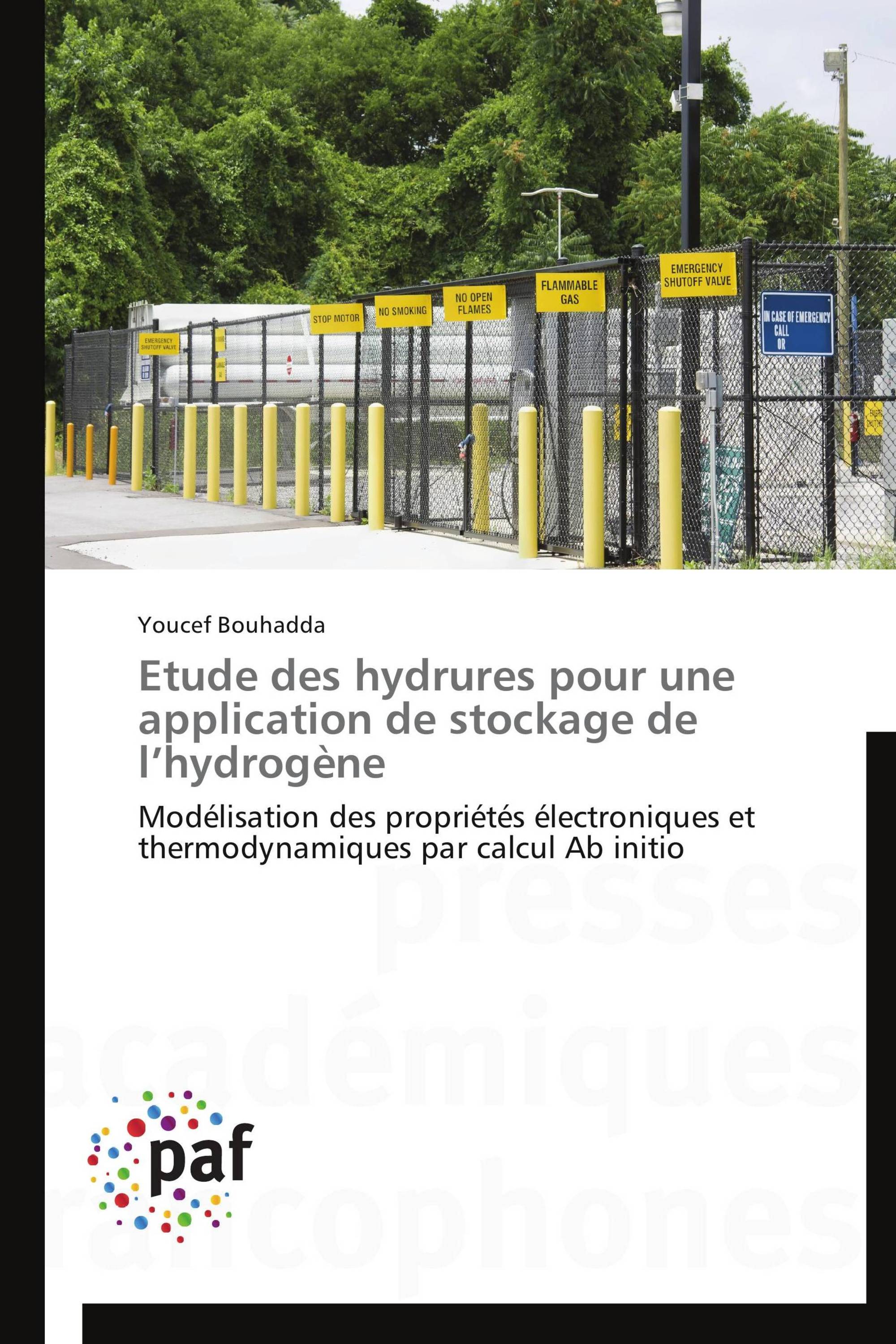 Etude des hydrures pour une application de stockage de l’hydrogène