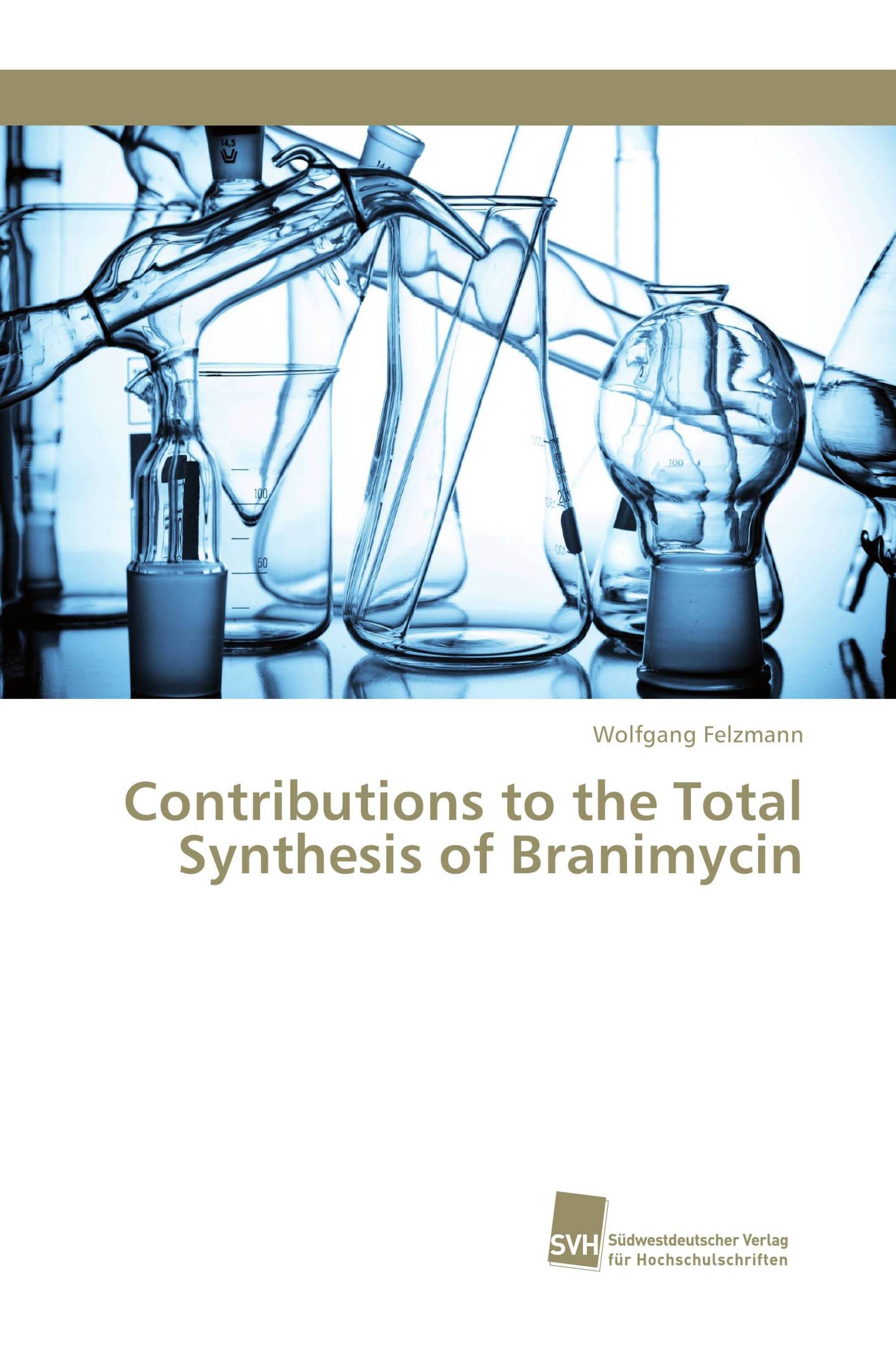 Contributions to the Total Synthesis of Branimycin