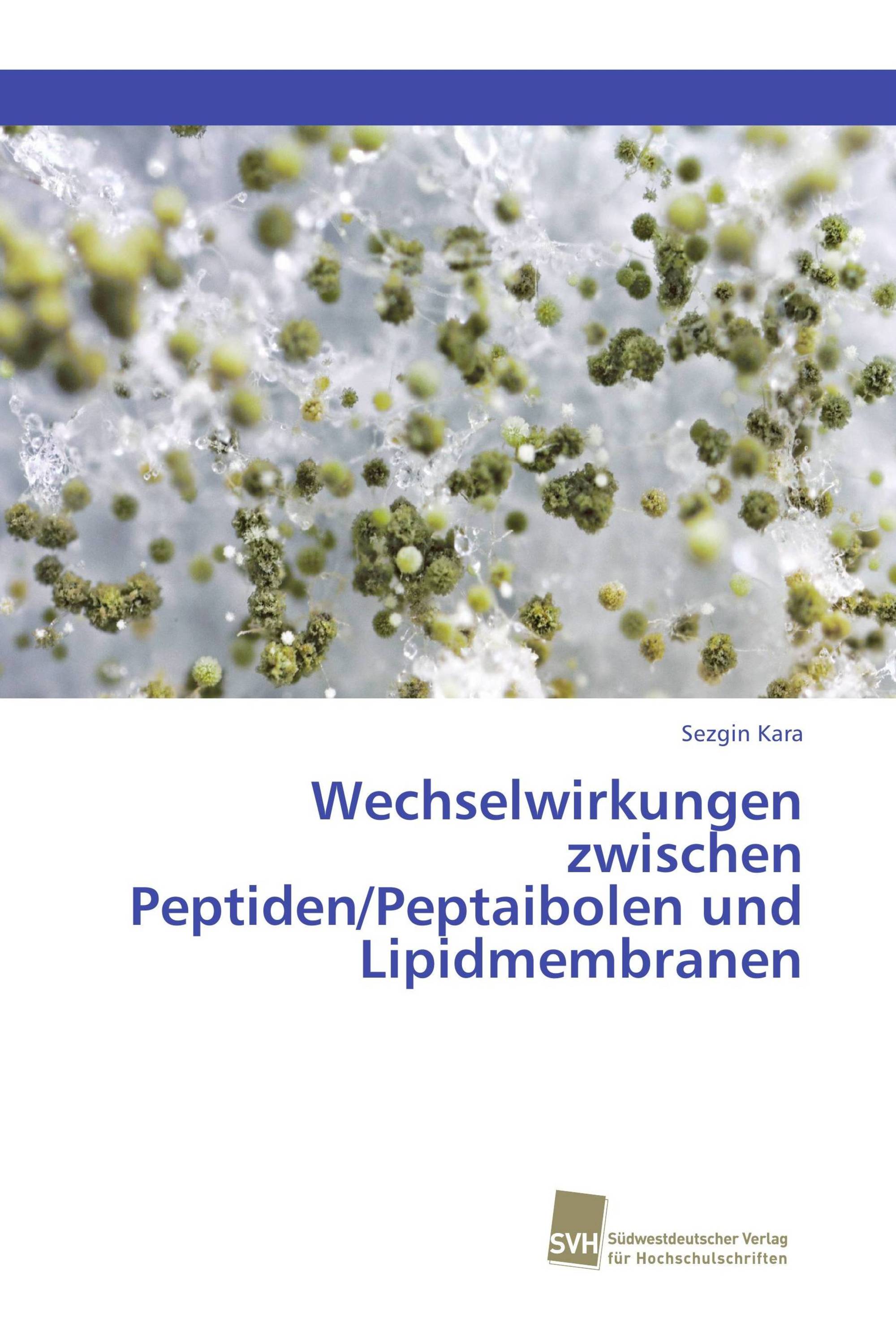 Wechselwirkungen zwischen Peptiden/Peptaibolen und Lipidmembranen