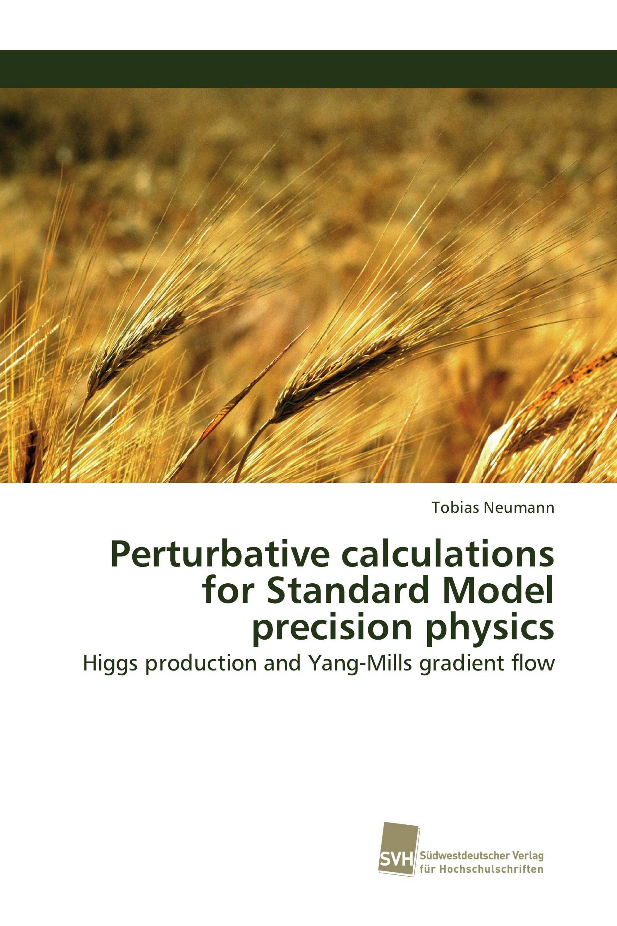 Perturbative calculations for Standard Model precision physics